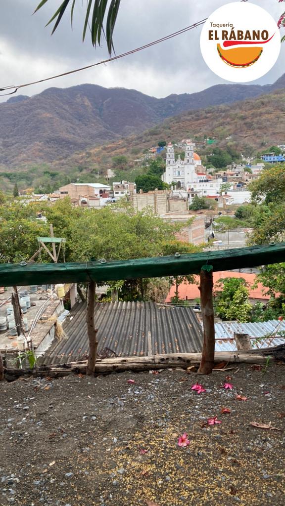 Tacos "El Rabano" image 3