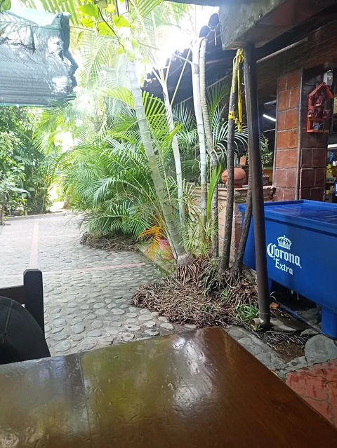 Mariscos El parral image 7