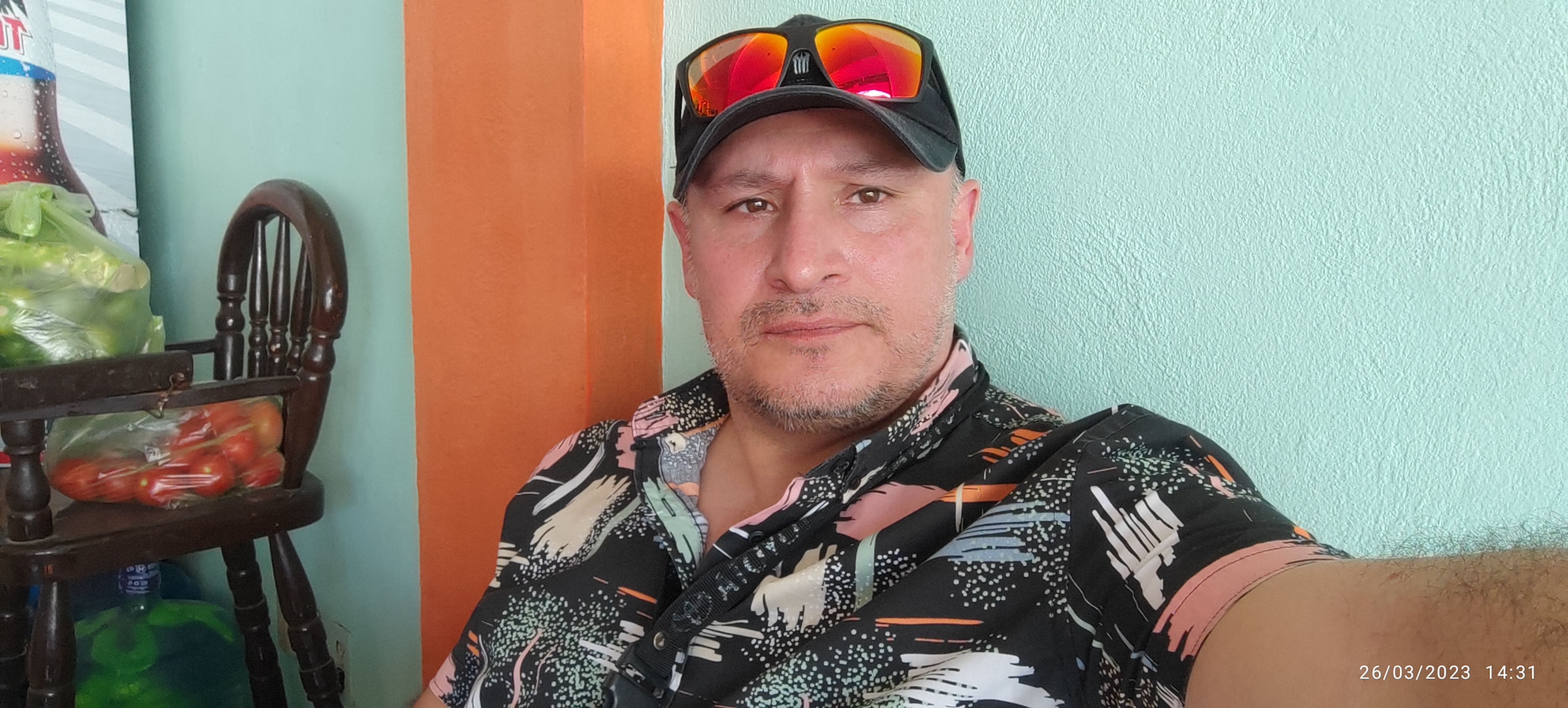 El crustáceo image 6