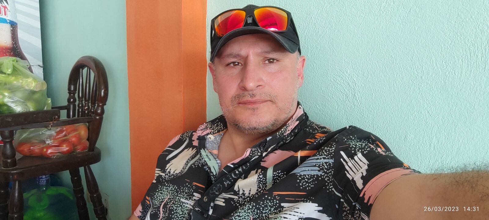 El crustáceo image 6
