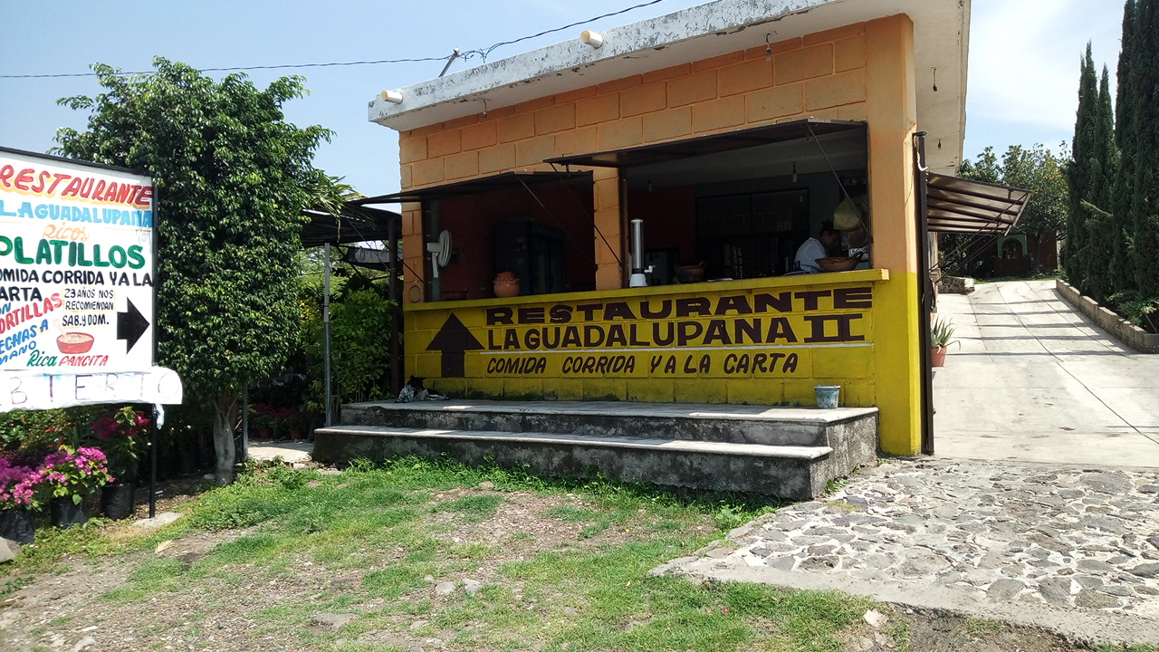 Fonda La Guadalupana image 4