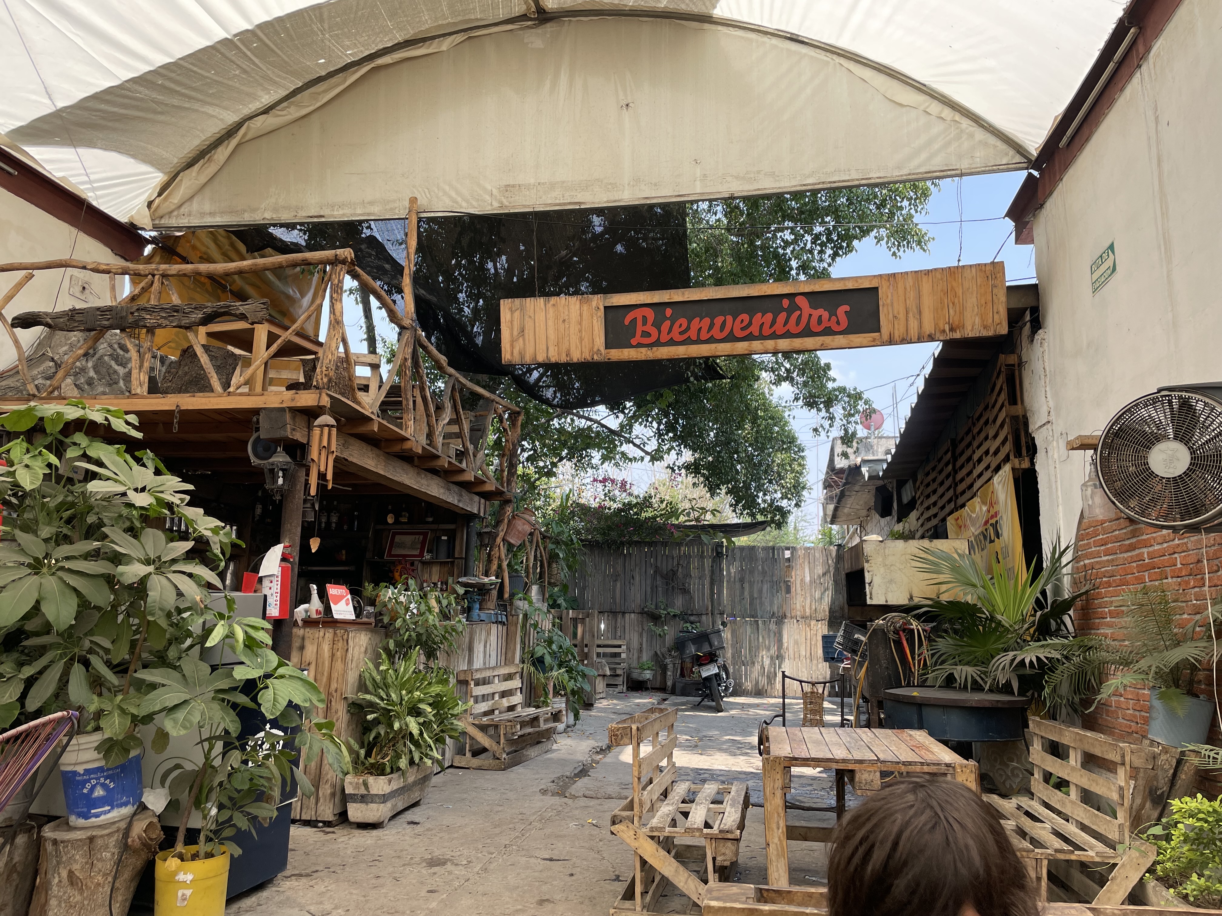 El Asadero de Buendia image 4