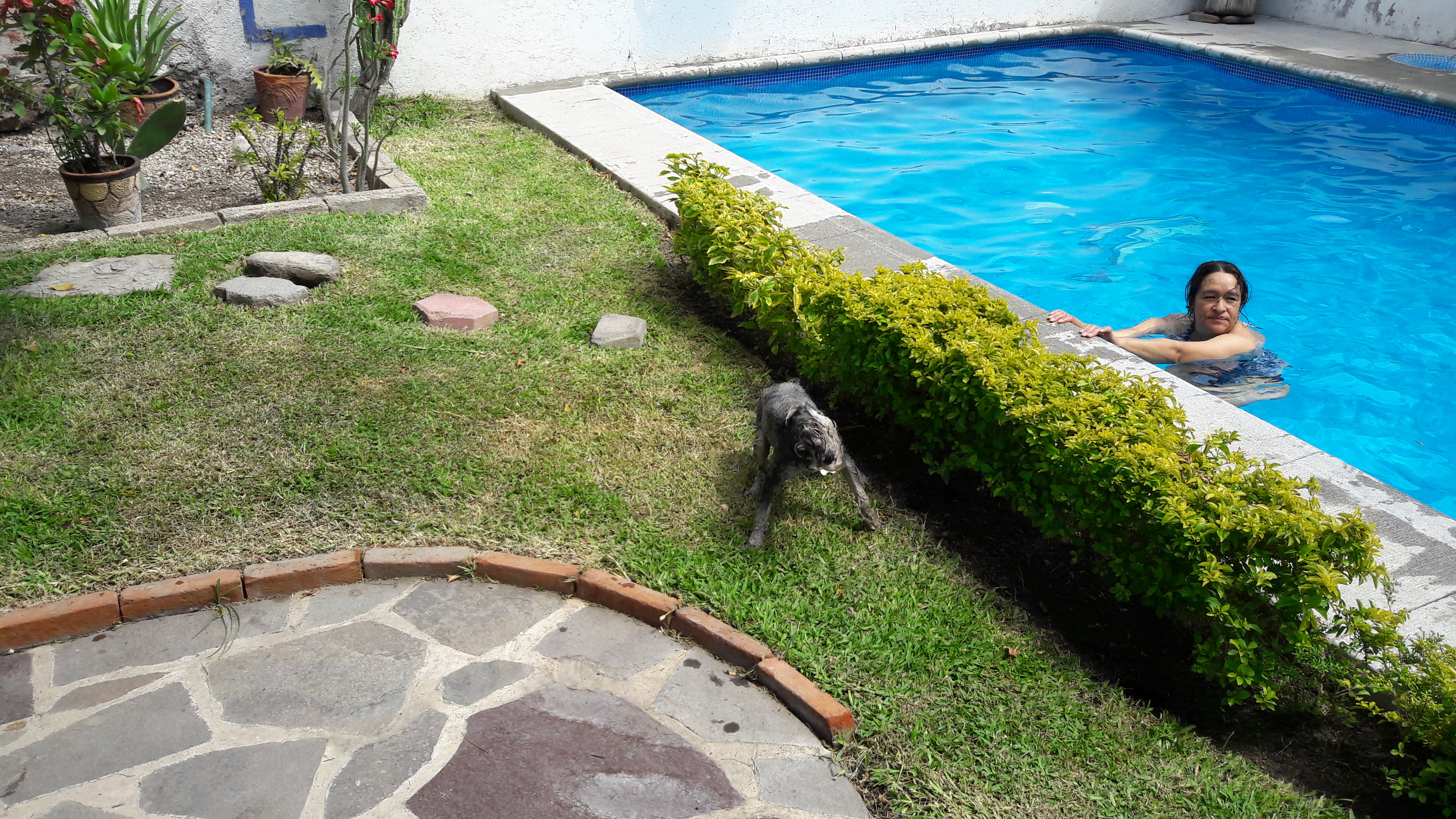 Rosticería "Rossy" image 1