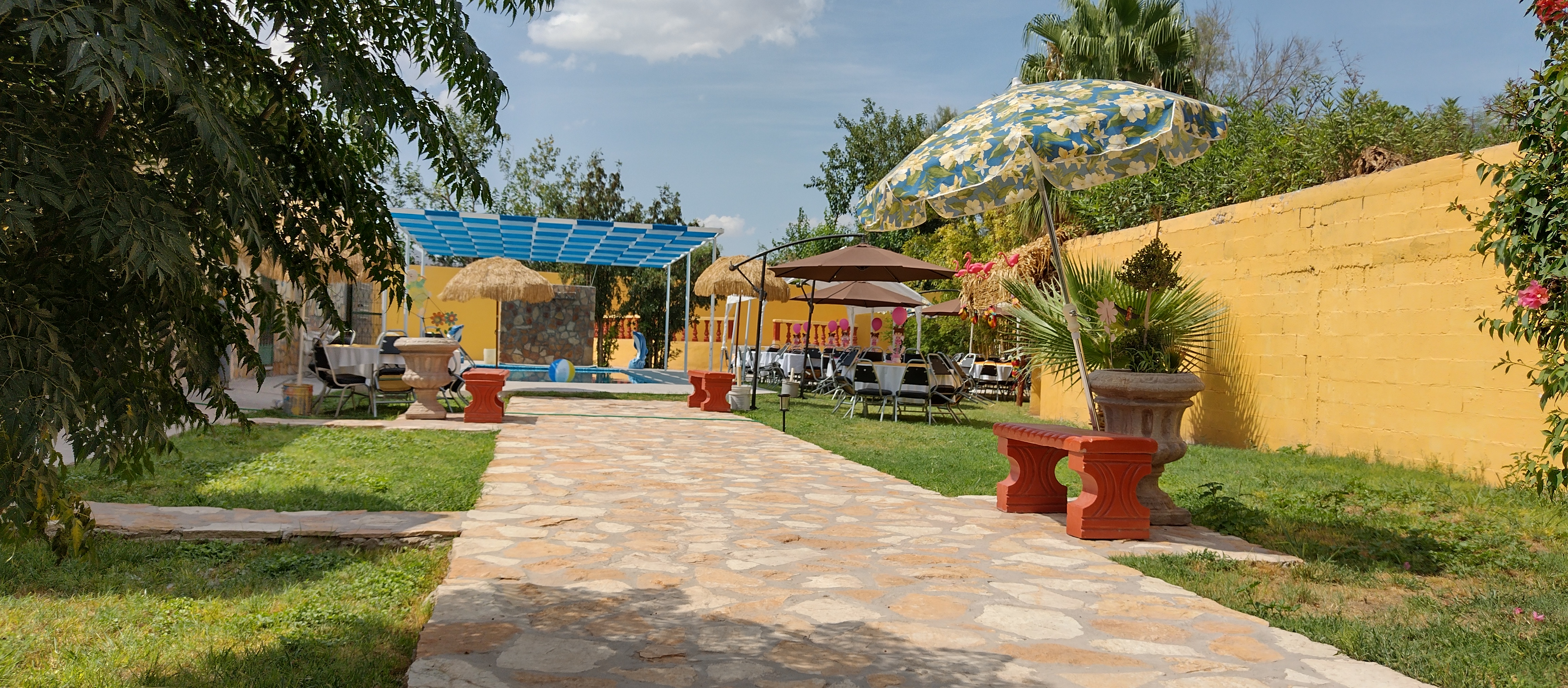 Tacos el jarocho image 6