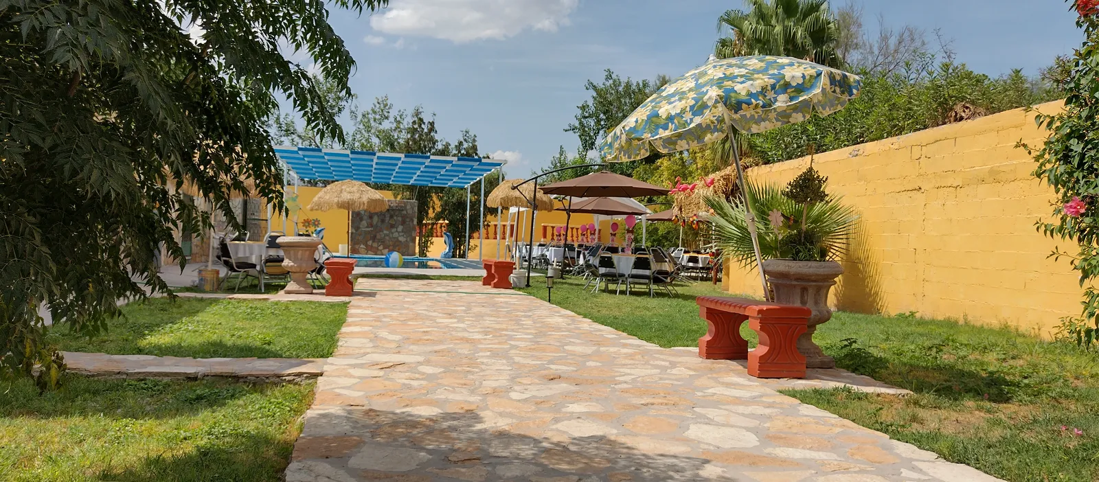 Tacos el jarocho image 6