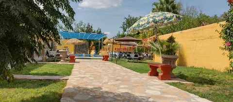 Tacos el jarocho image 6
