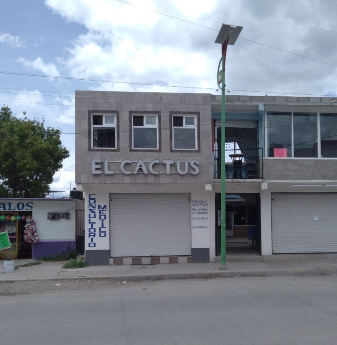 El Cactus image 3