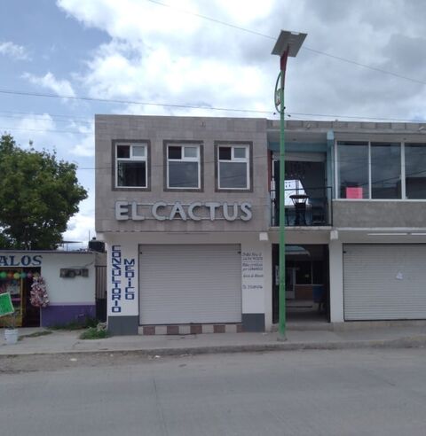 El Cactus image 3