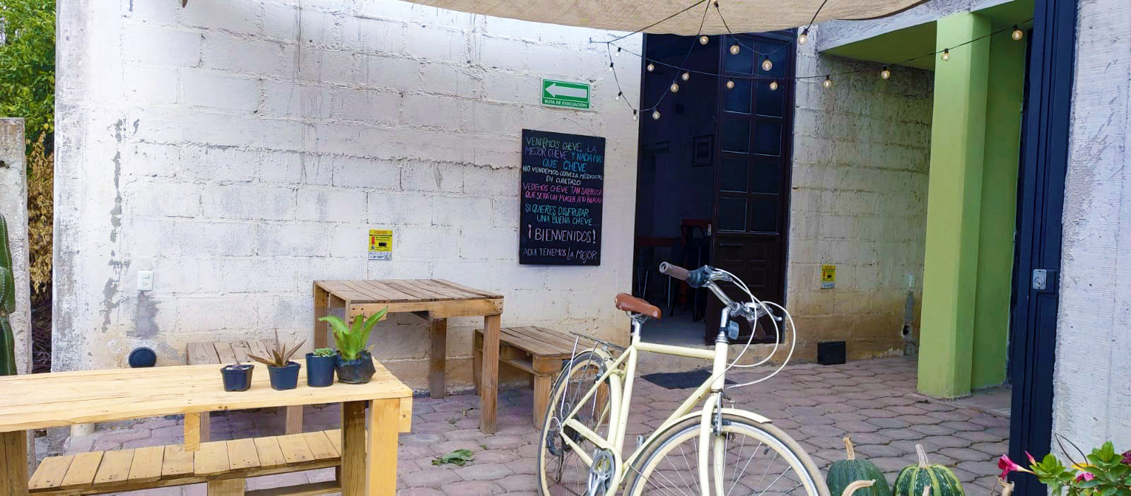 Toxtle Tap Room image 5