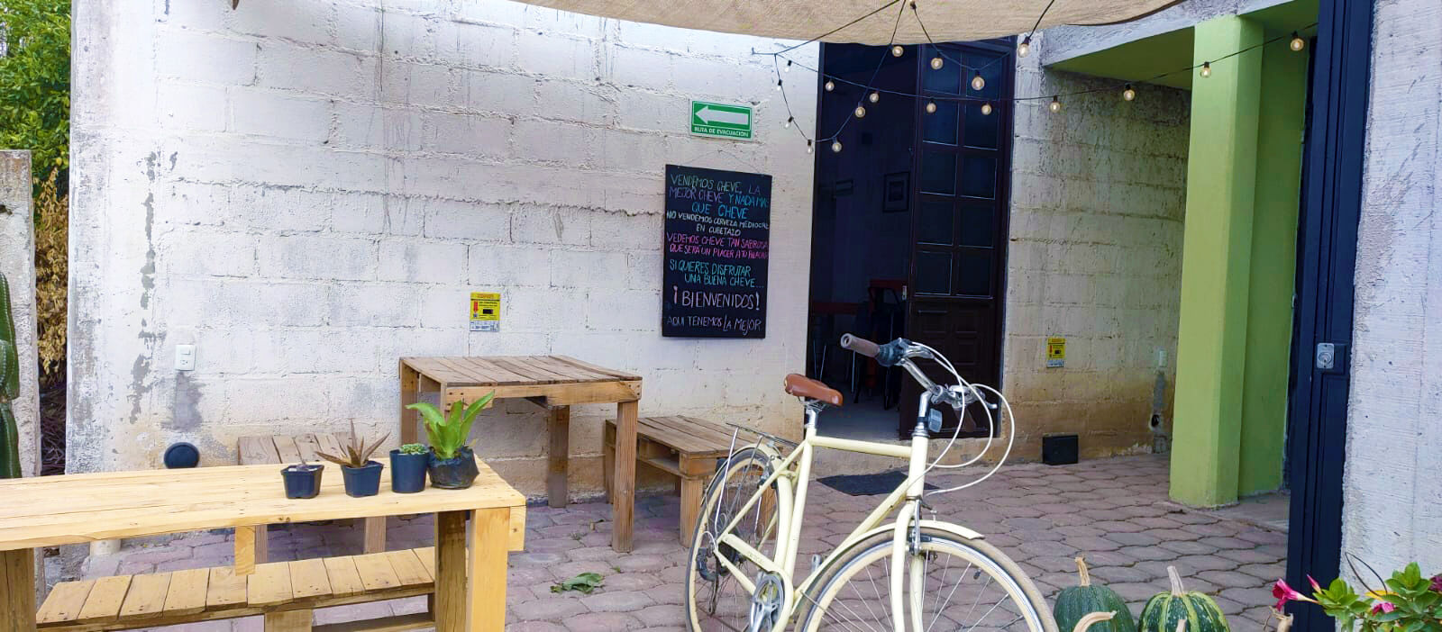 Toxtle Tap Room image 5