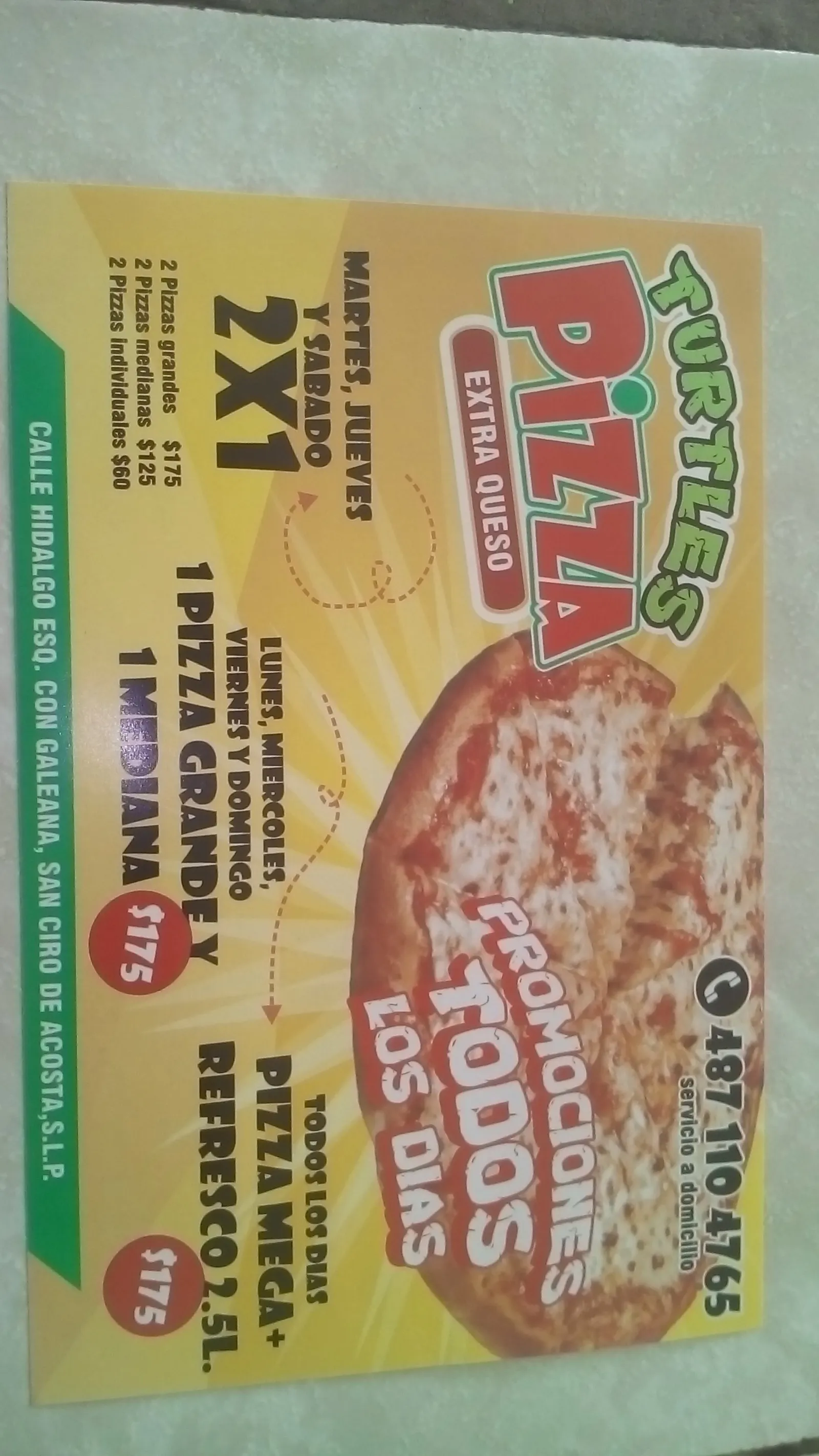 Turtles Pizza image 4