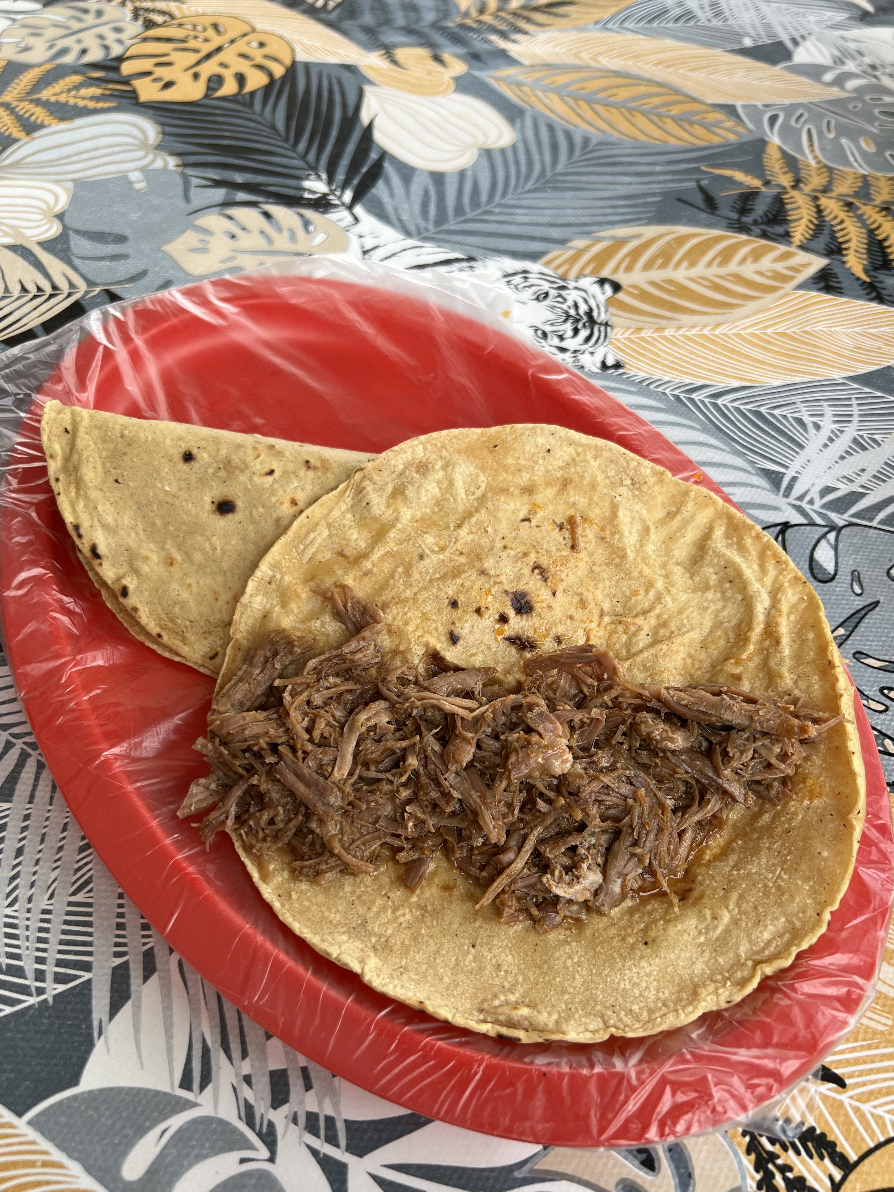 Zoe's Tacos Birria de res estilo Jalisco image 4