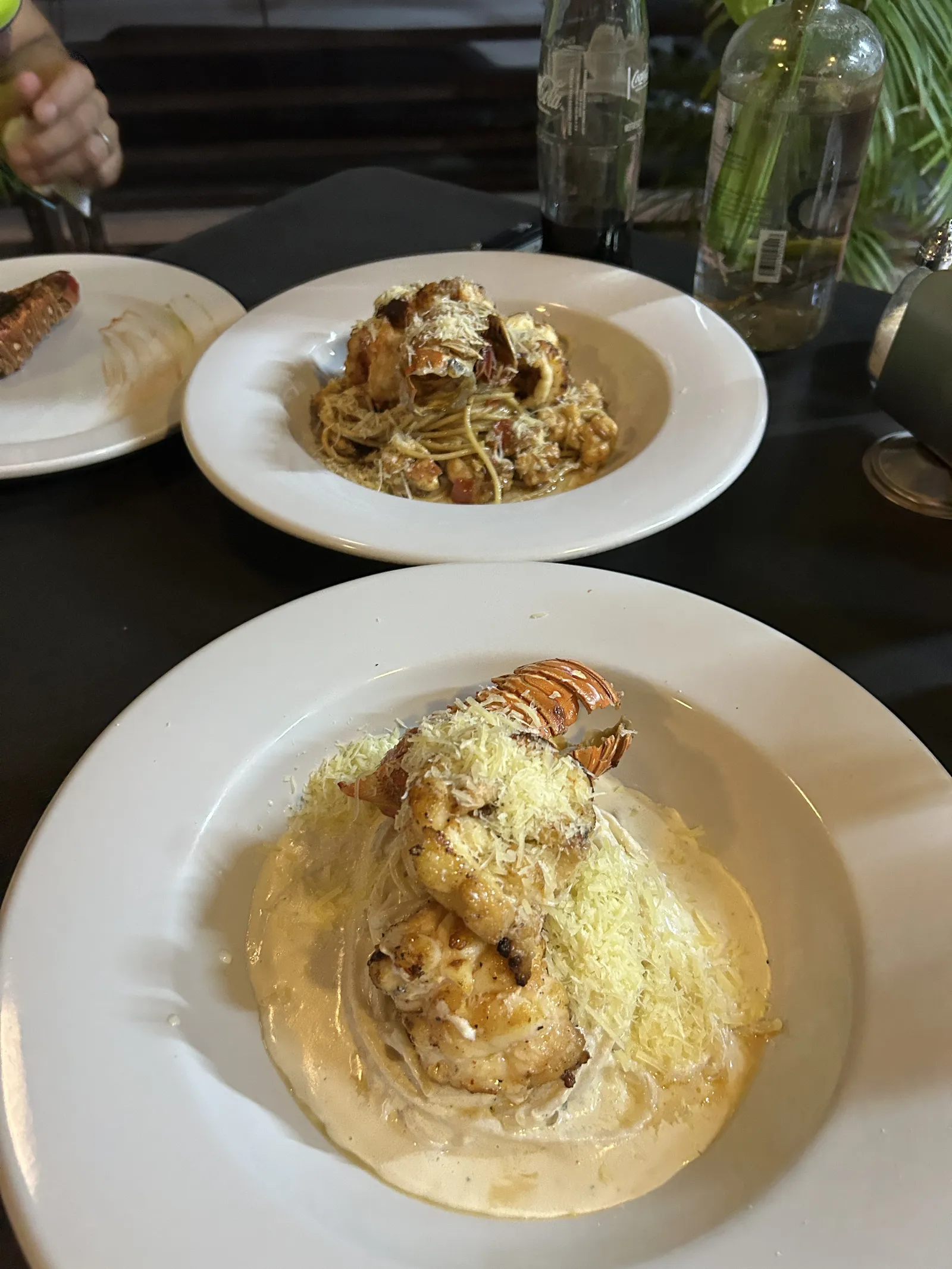 El Costeño Bistro Mérida image 4
