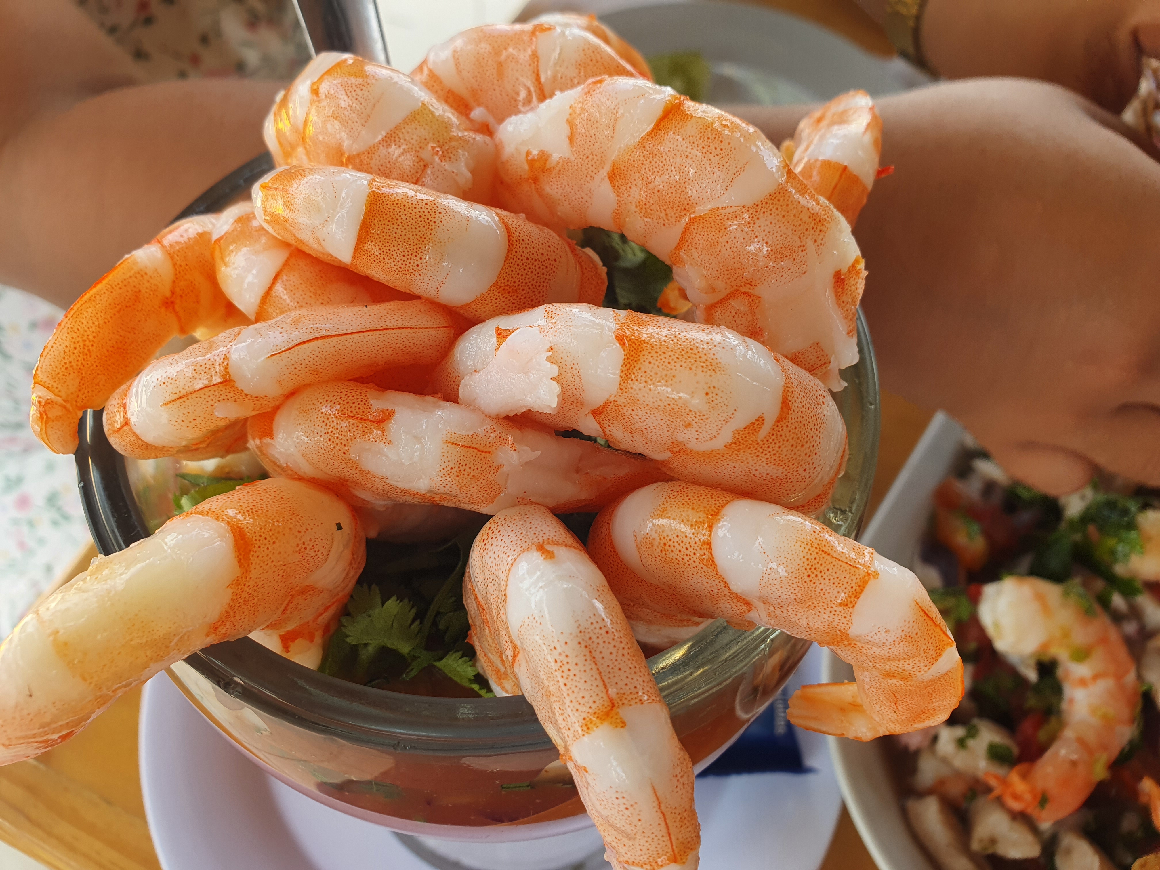 Coctelería el Costeño Cd. Caucel image 4