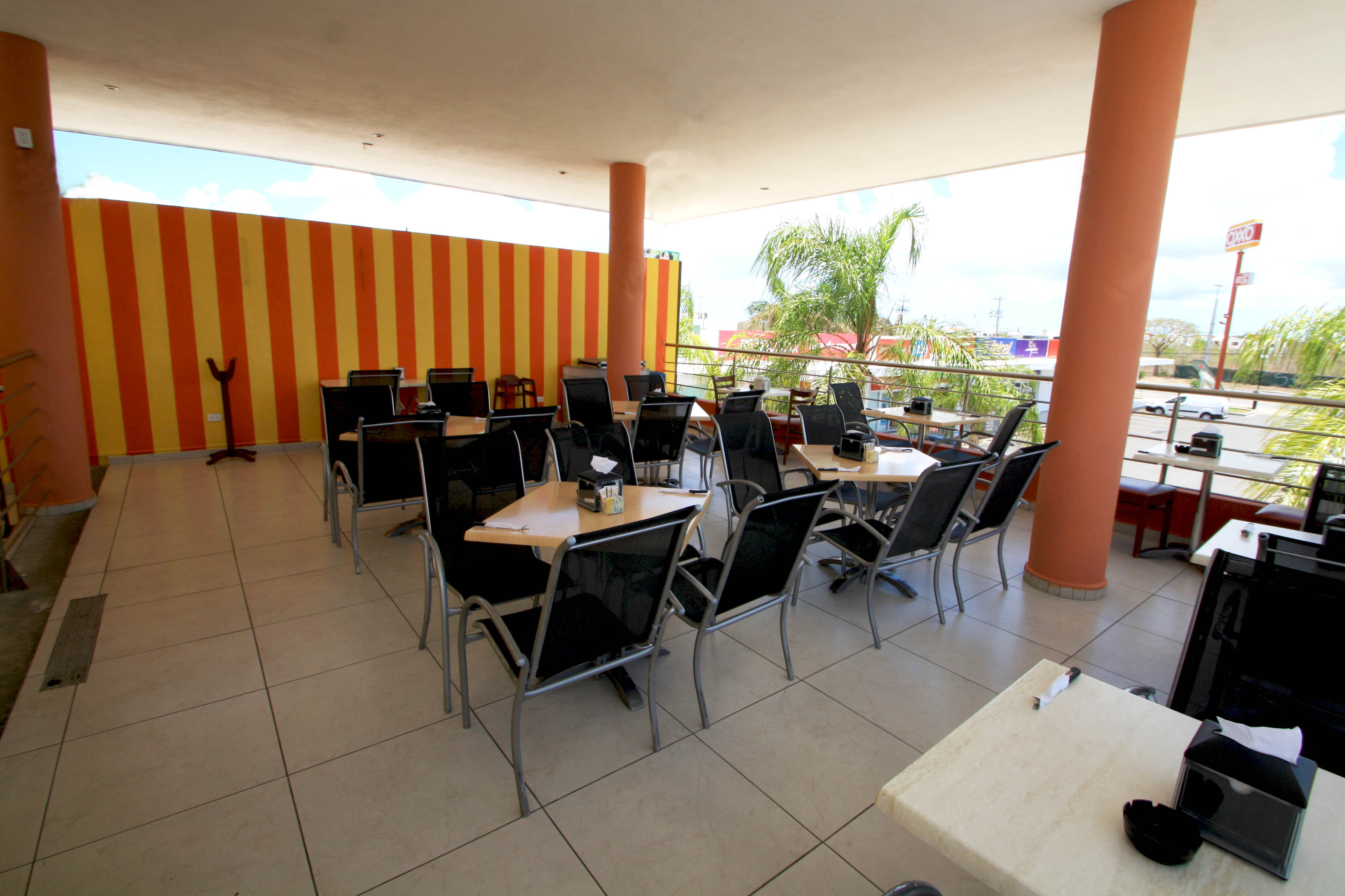 Mi Viejo Molino image 7