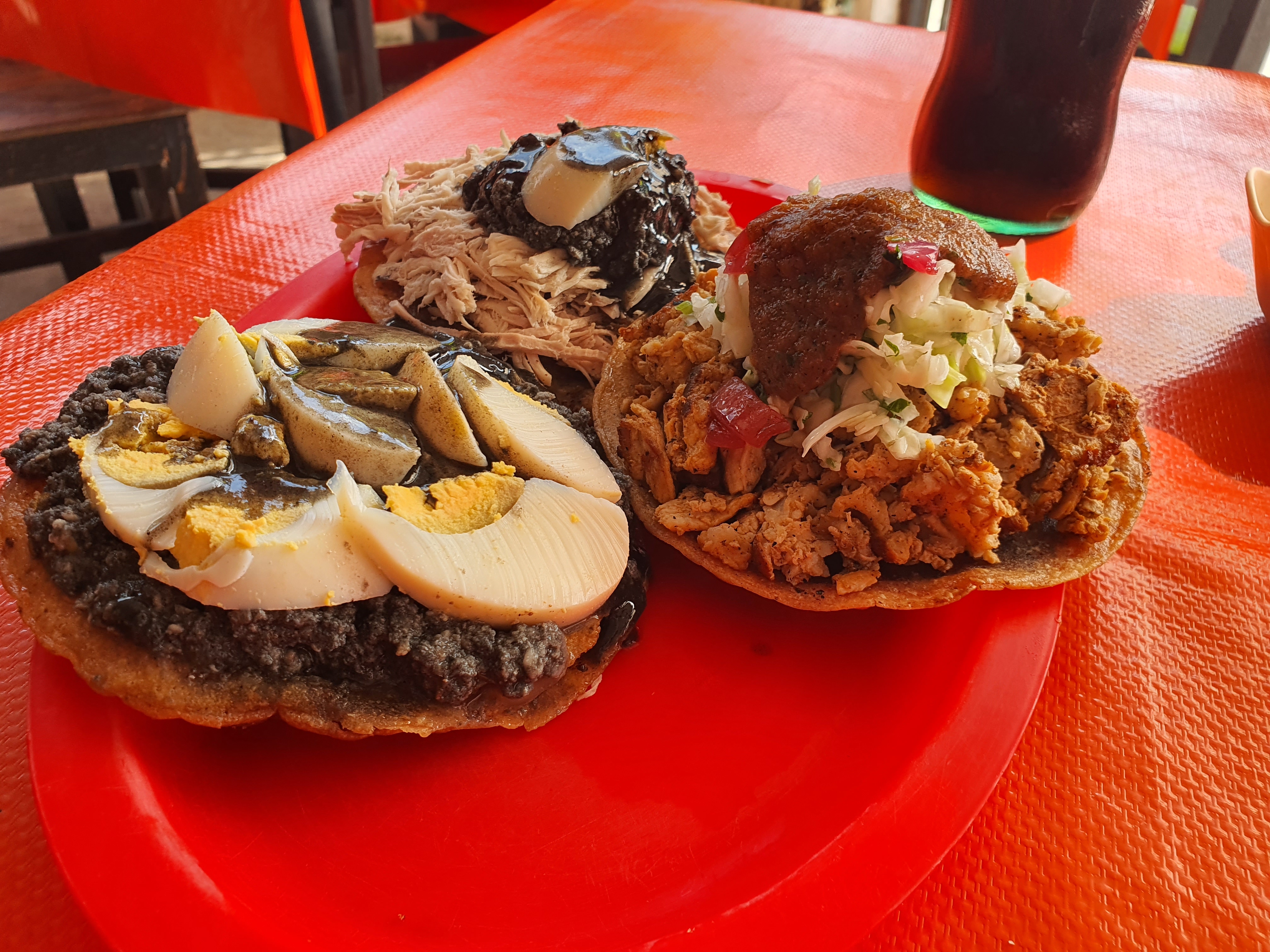 El Maya Ciudad Caucel image 3