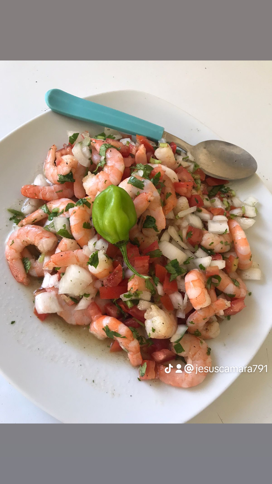 EL CABALLITO DEL MAR image 4