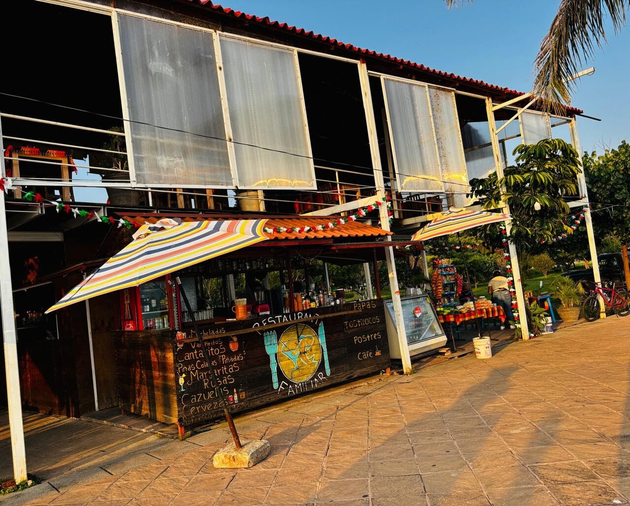 La Palapa image 1
