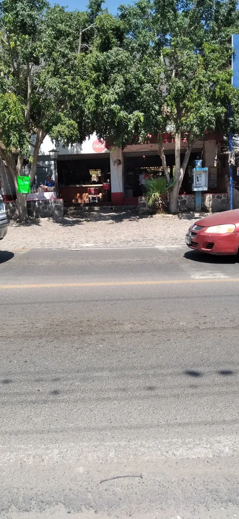 Los arbolitos image 5