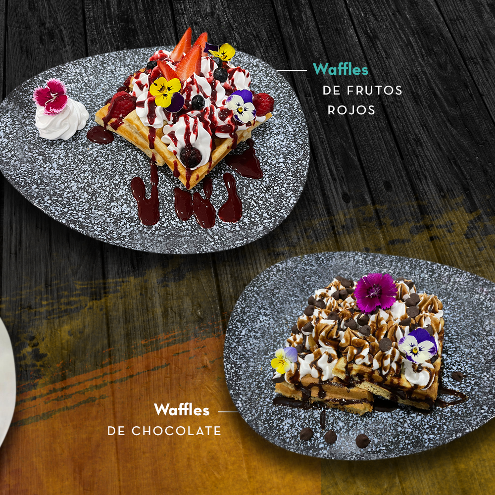 Restaurante Terra Luna image 2