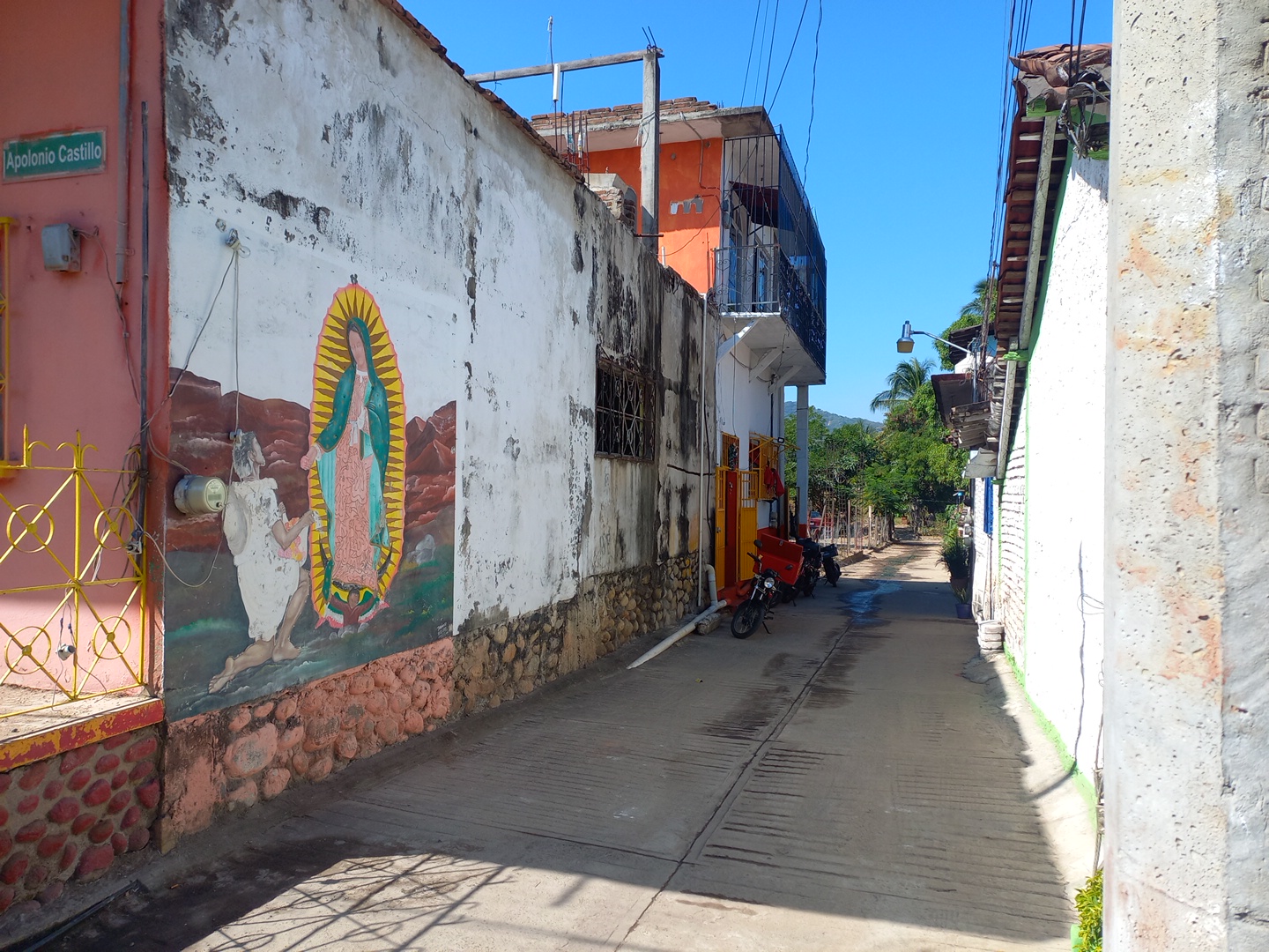 Comida China ZEN, suc. apolonio image 2