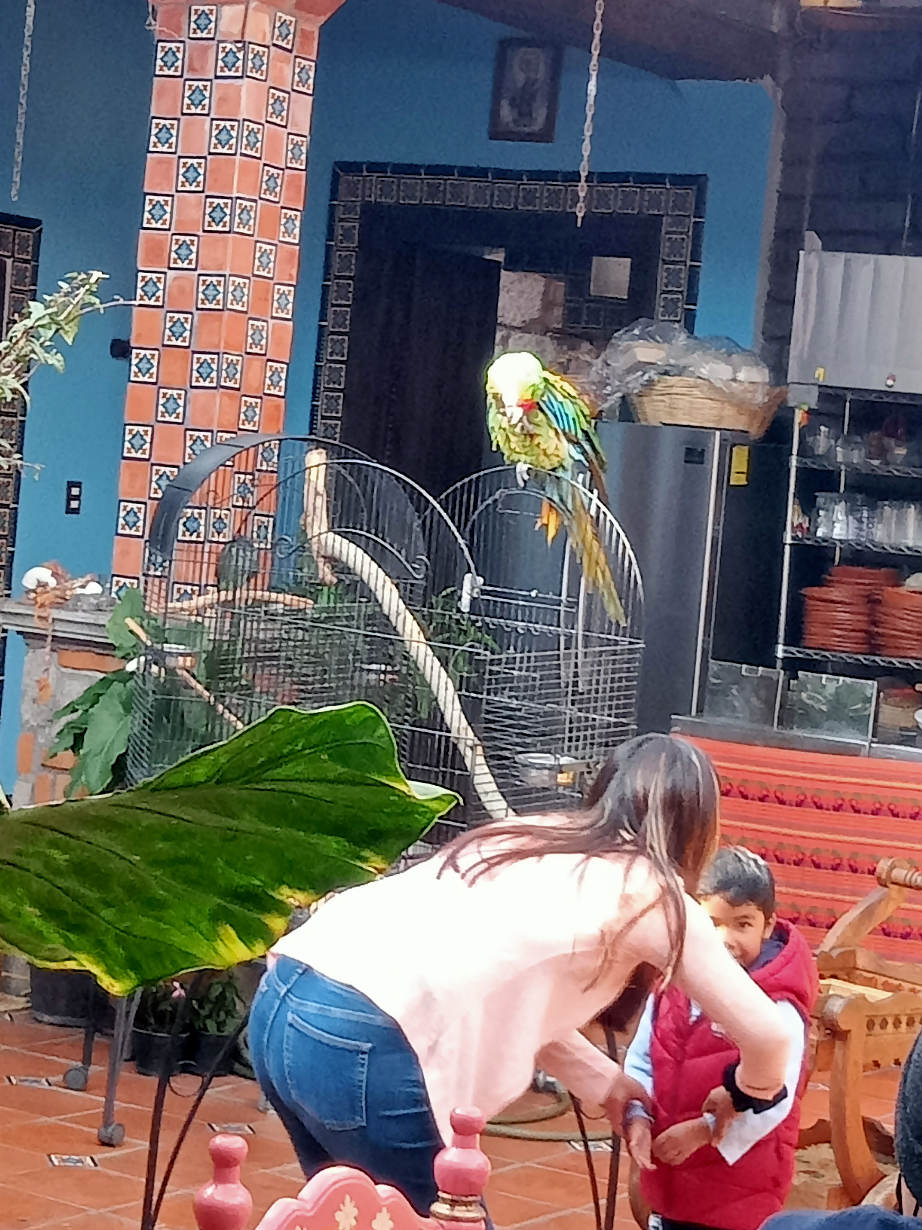 Antojería Don Toño image 3