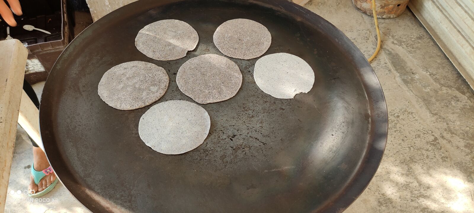 El Borrego Loco image 2