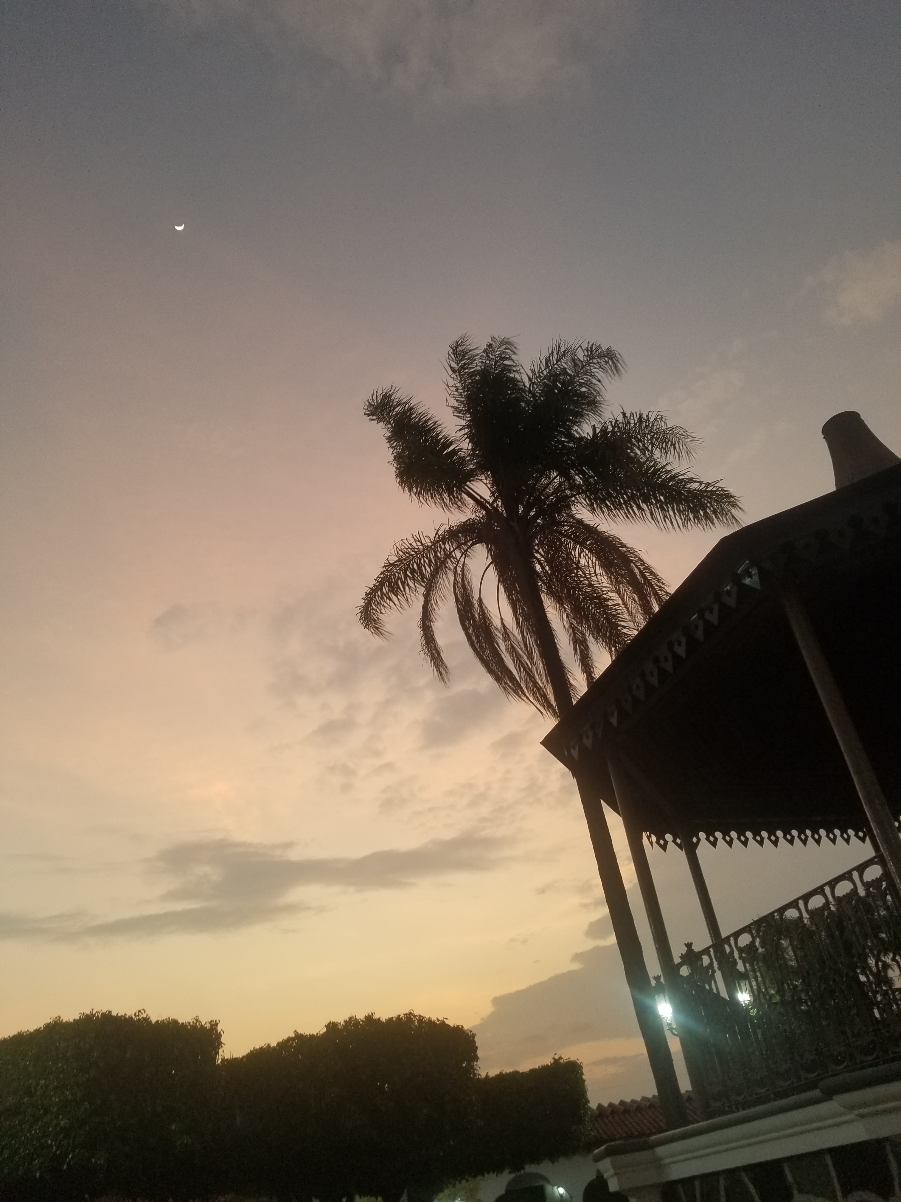 Lonchería El Manguito image 5