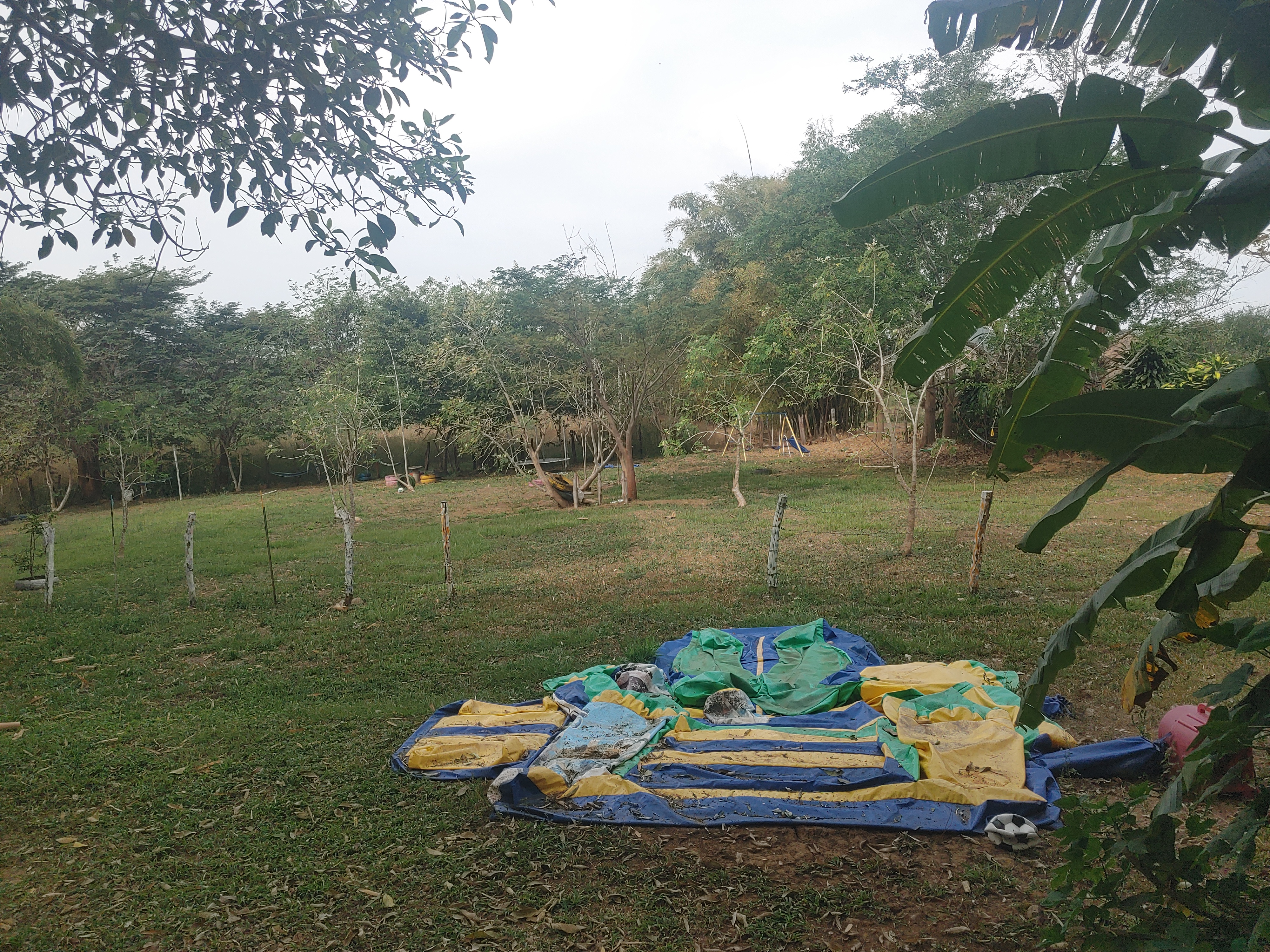 Hacienda Las Azaleas image 2