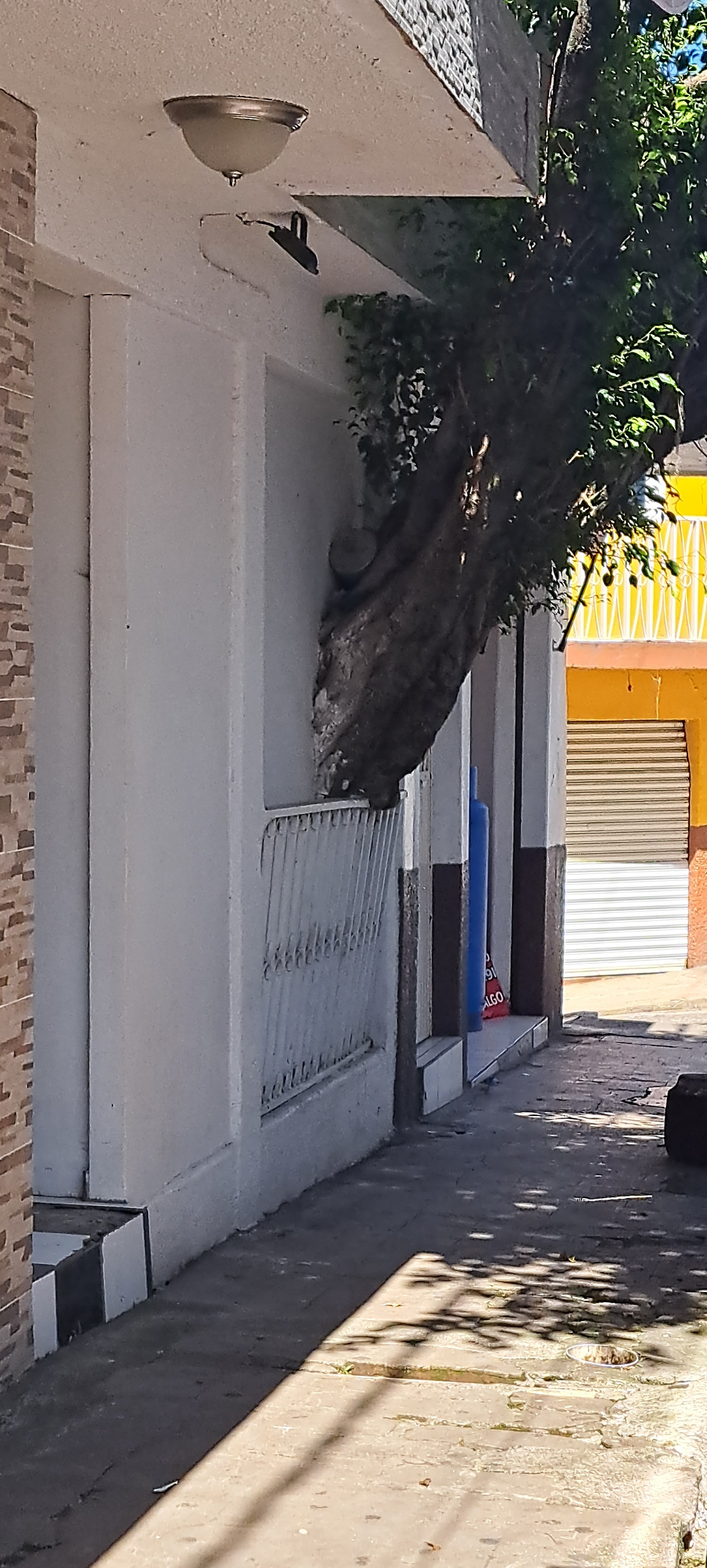 Loncheria Lupita image 7