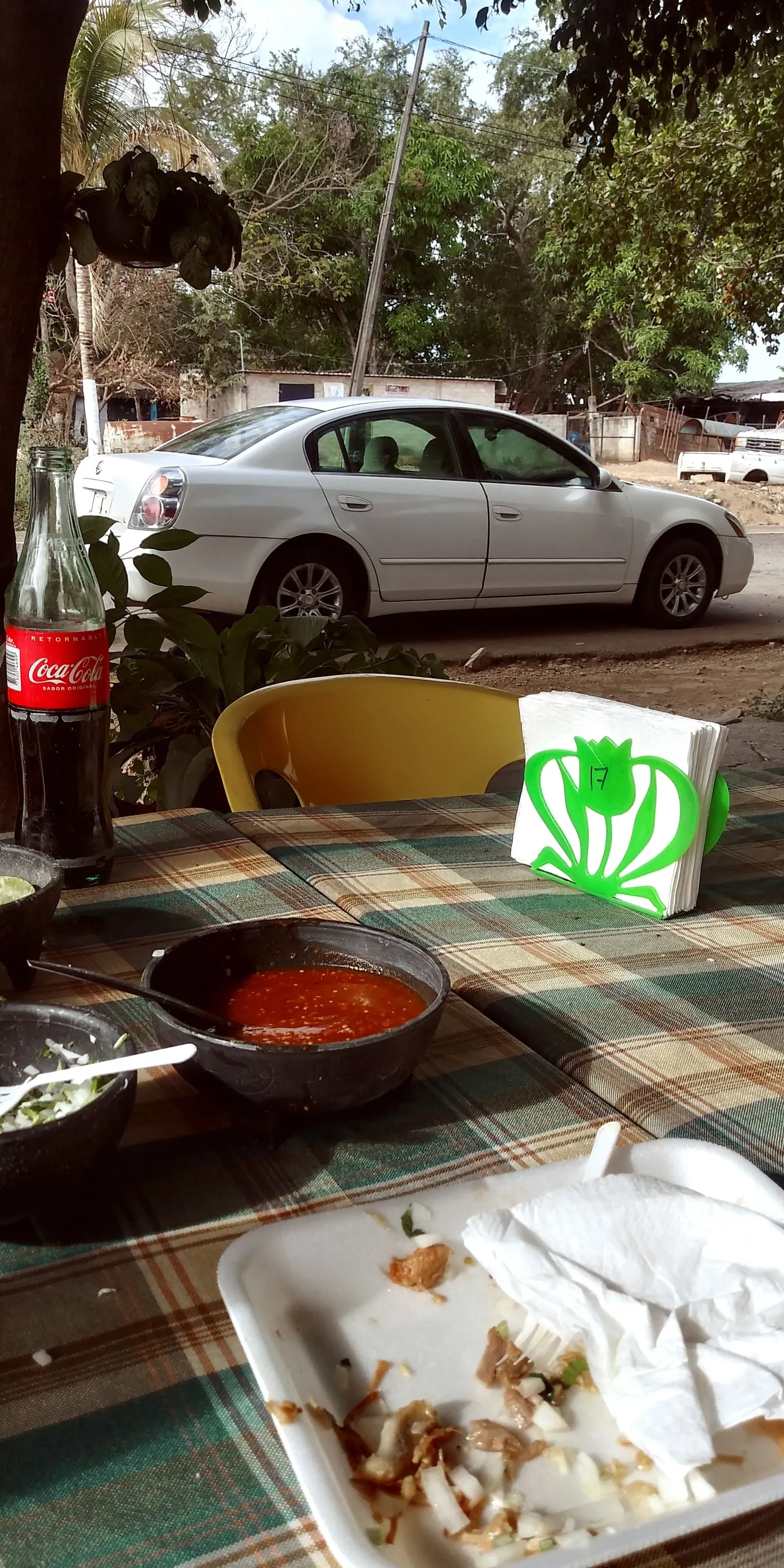 CARNITAS SANTA CRUZ image 5