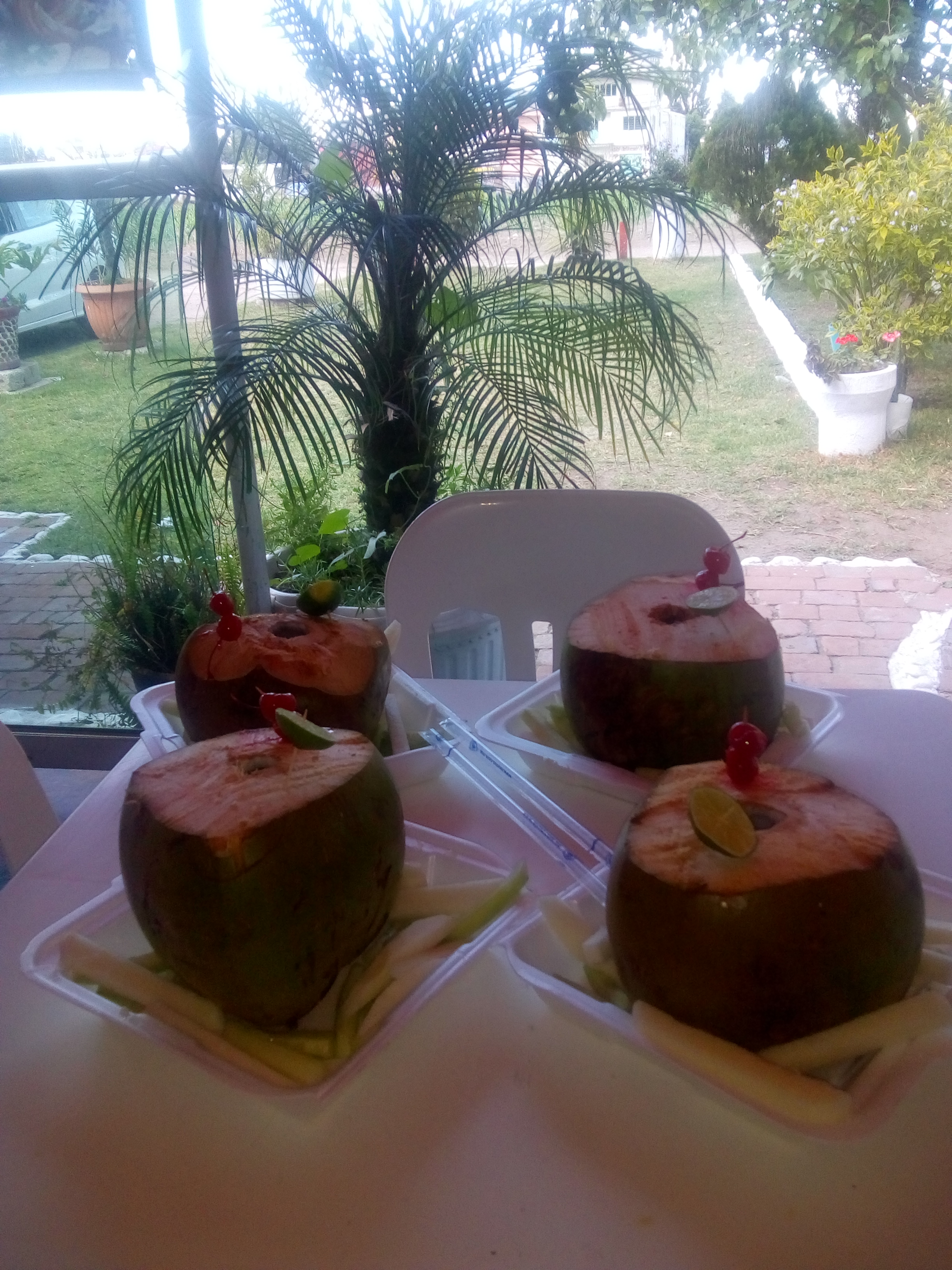 El Pequeño Oasis image 10