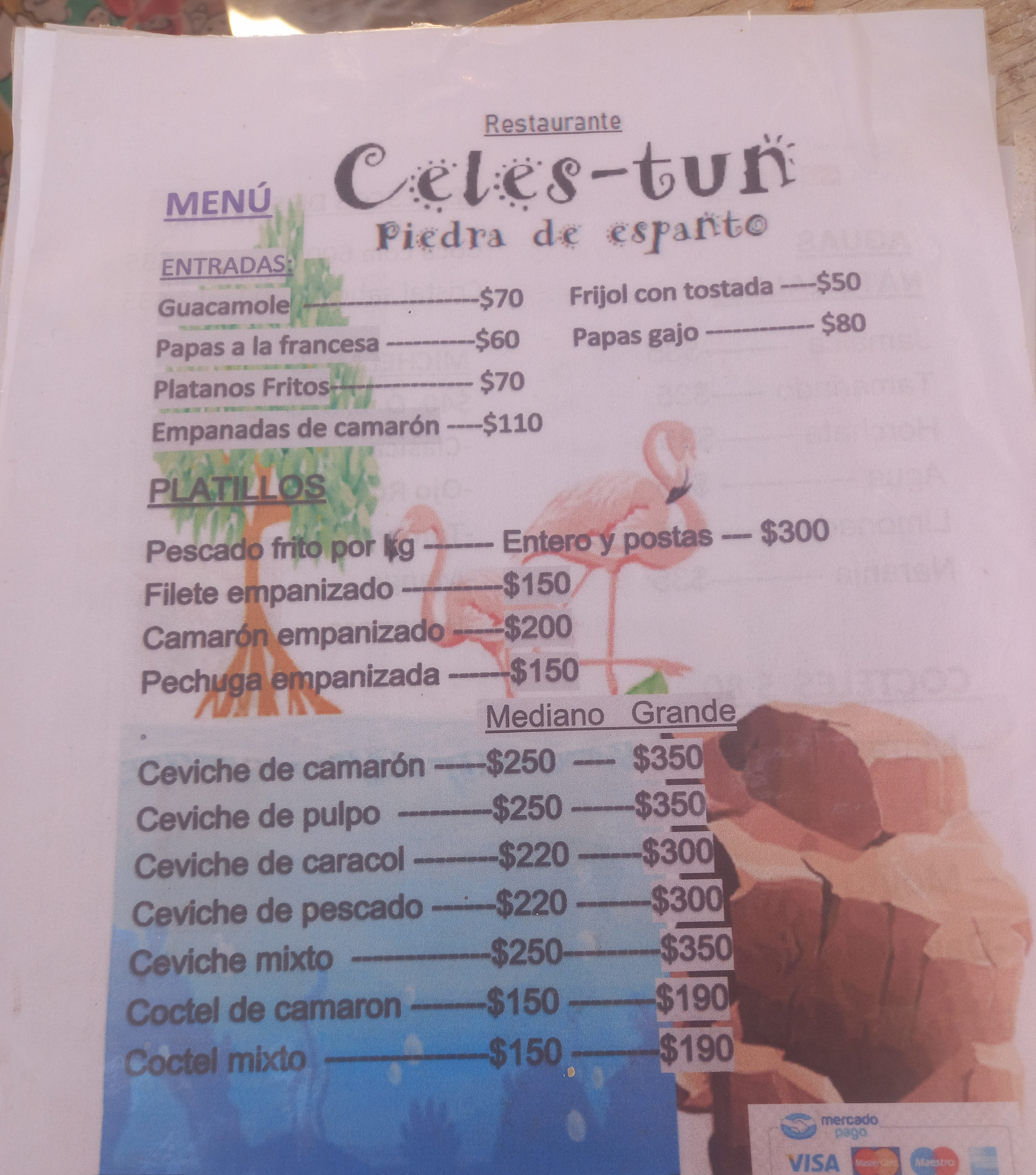 Celes-tun Ramada De La Bichota image 6