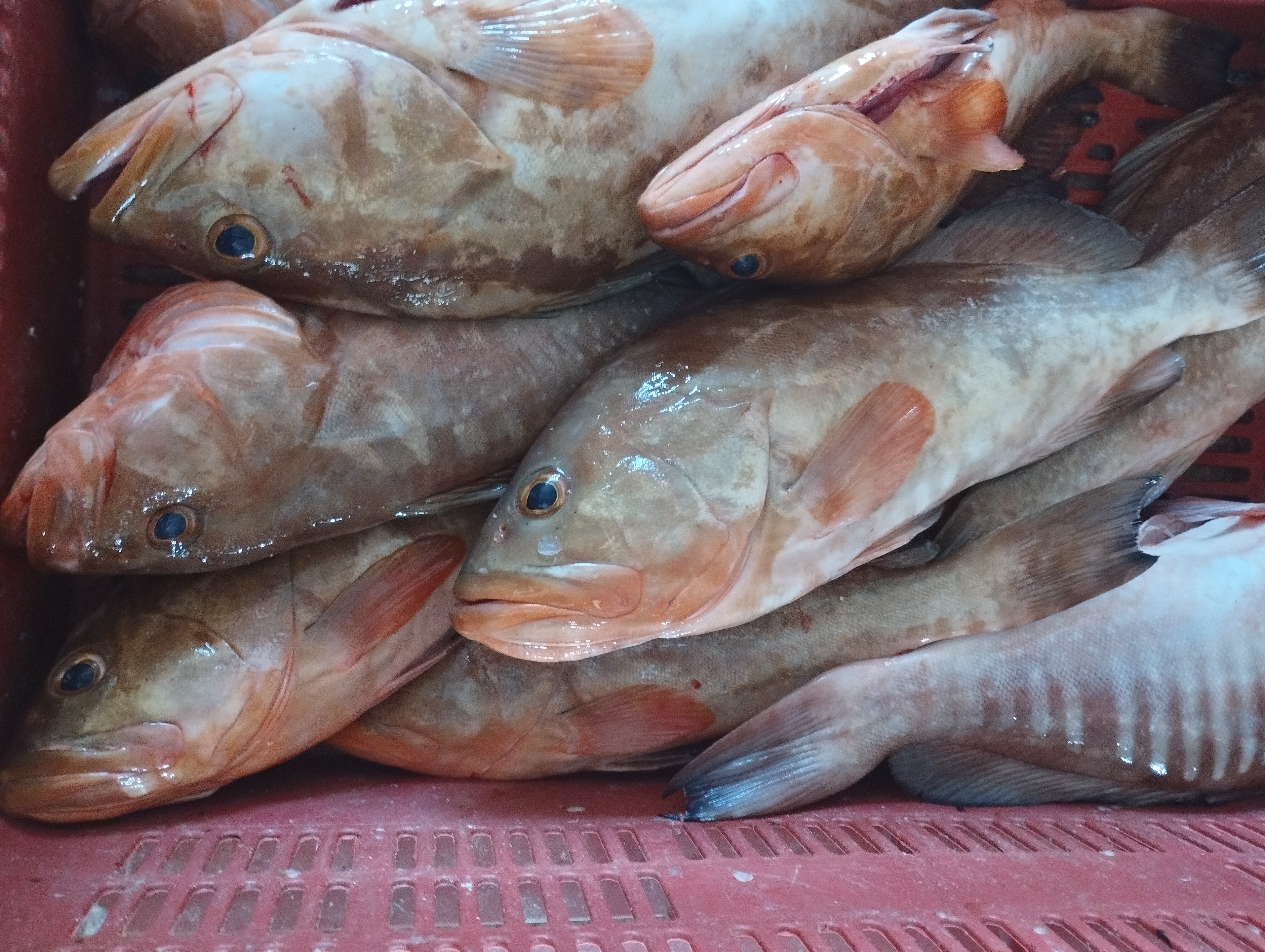 Playa Bonita image 4