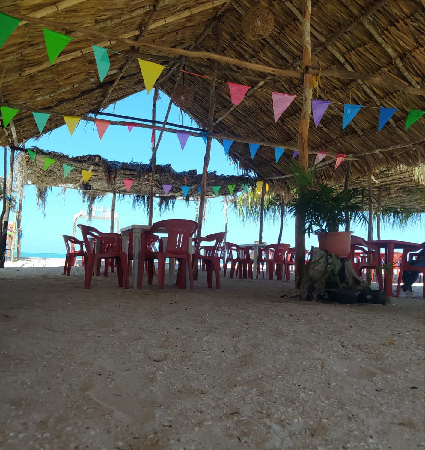 Palapa Bahía Tiburón image 1