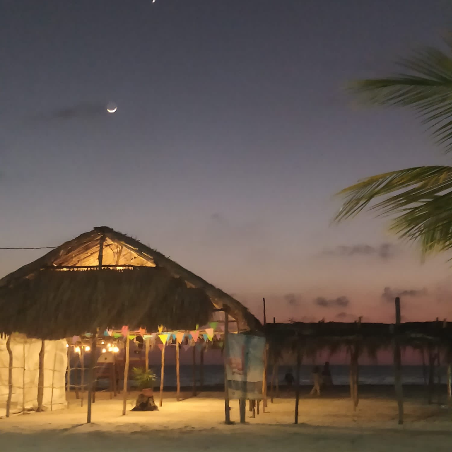 Palapa Bahía Tiburón image 7