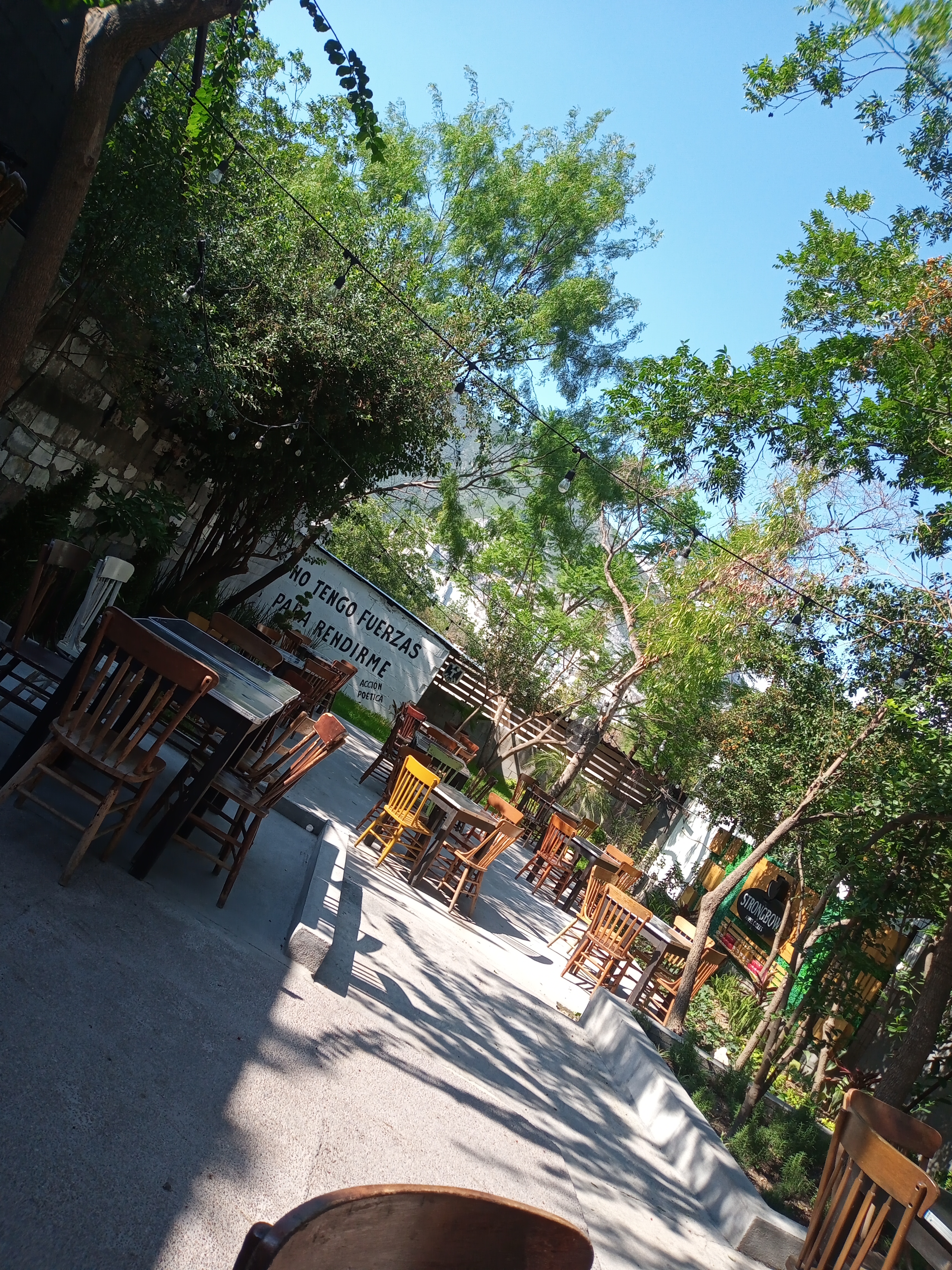 Botanero Moritas San Pedro image 1