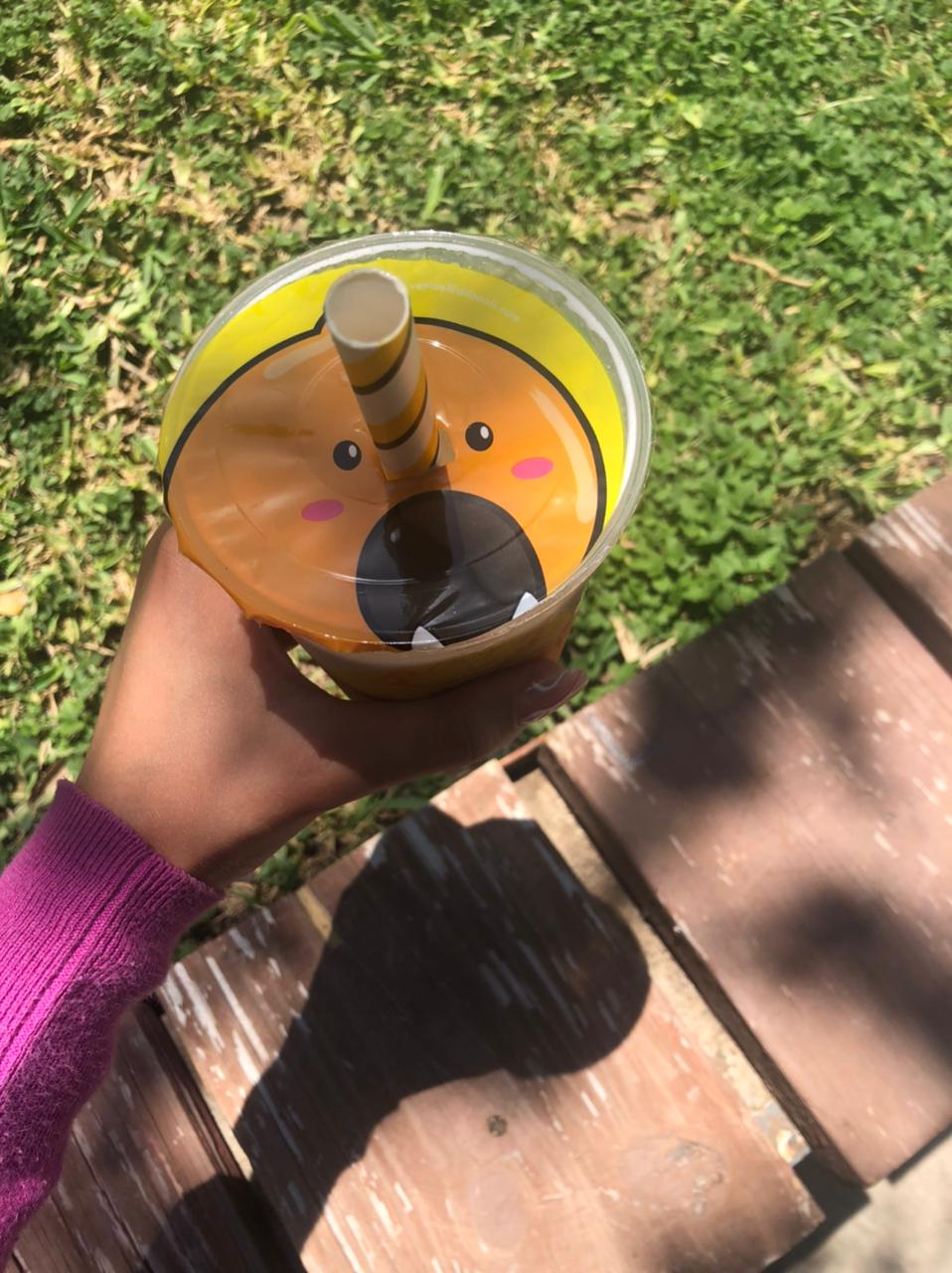 Tapioca House UdeM image 8