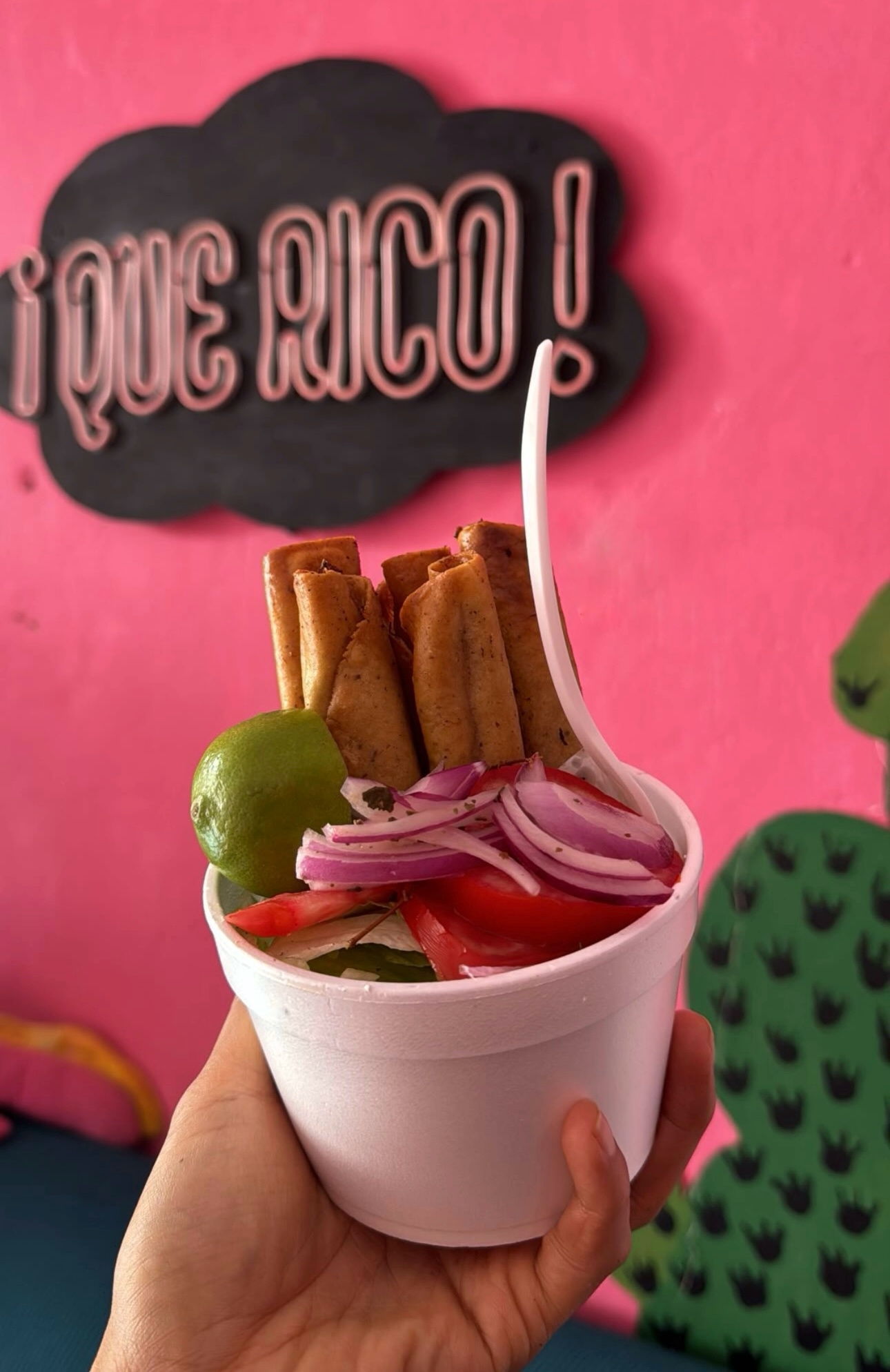 AXINGAO QUE RICO image 6