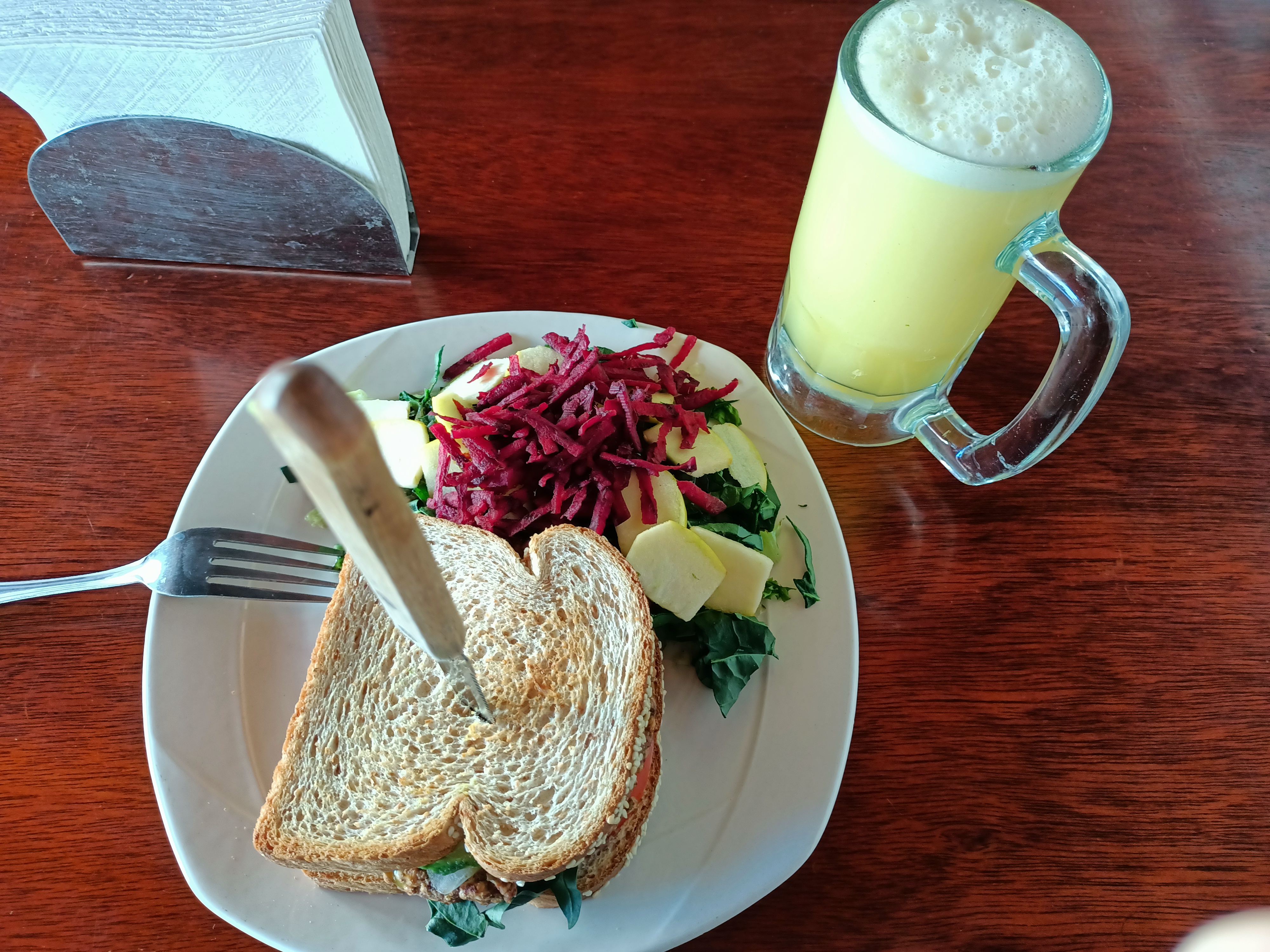 Soyavid express image 2