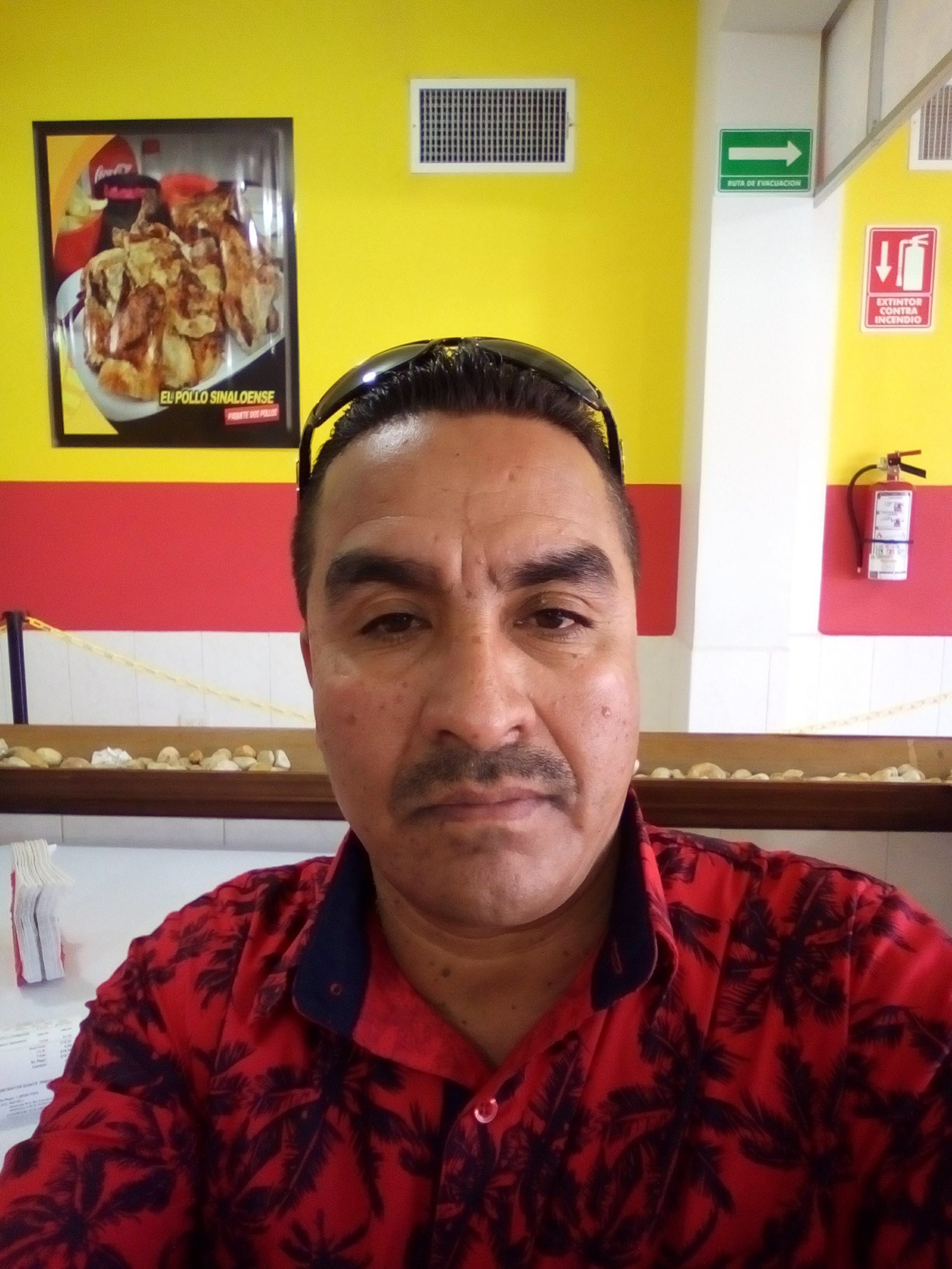 El Pollo Sinaloense image 4