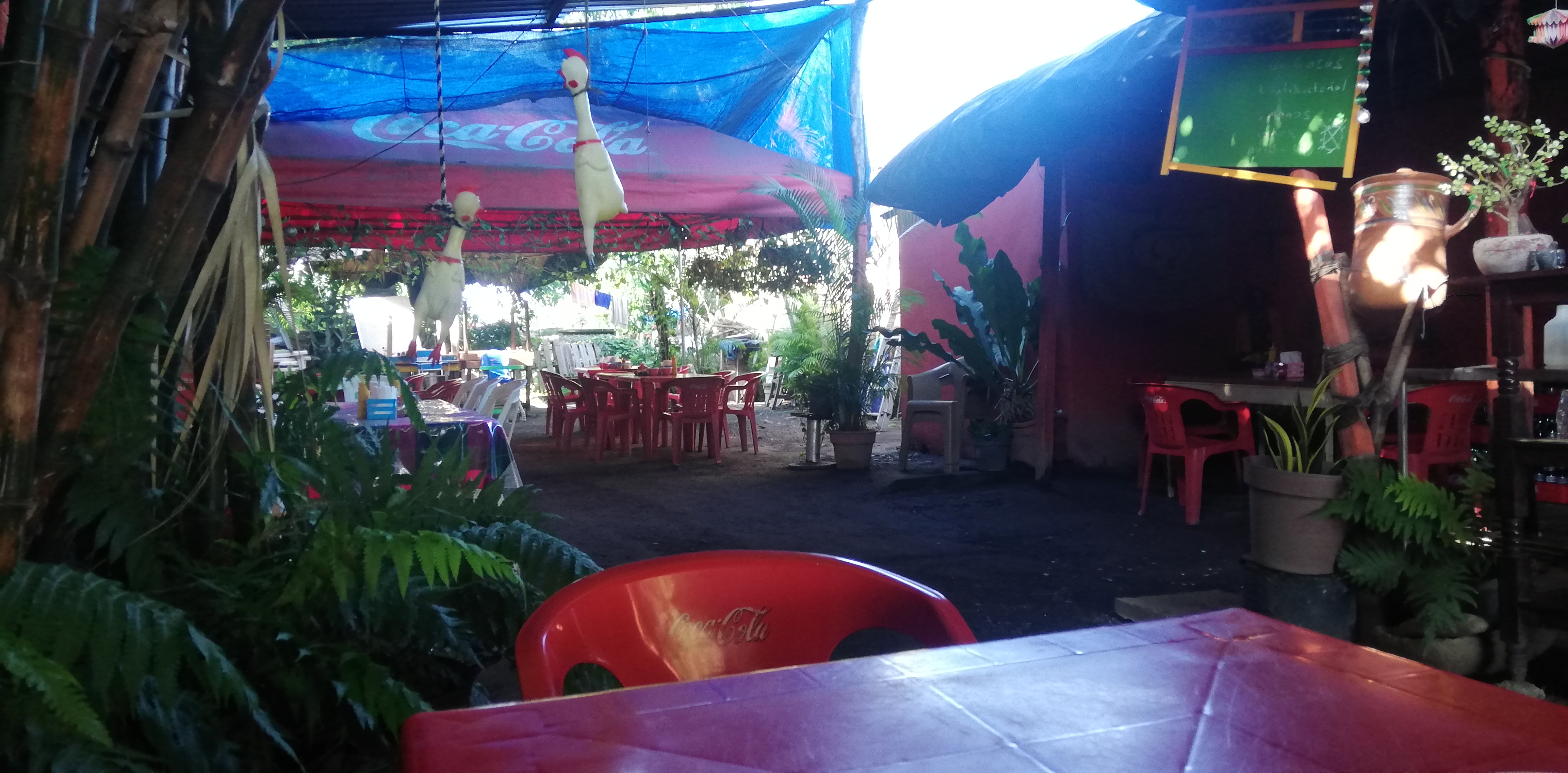 El Guamúchil desayuno image 7