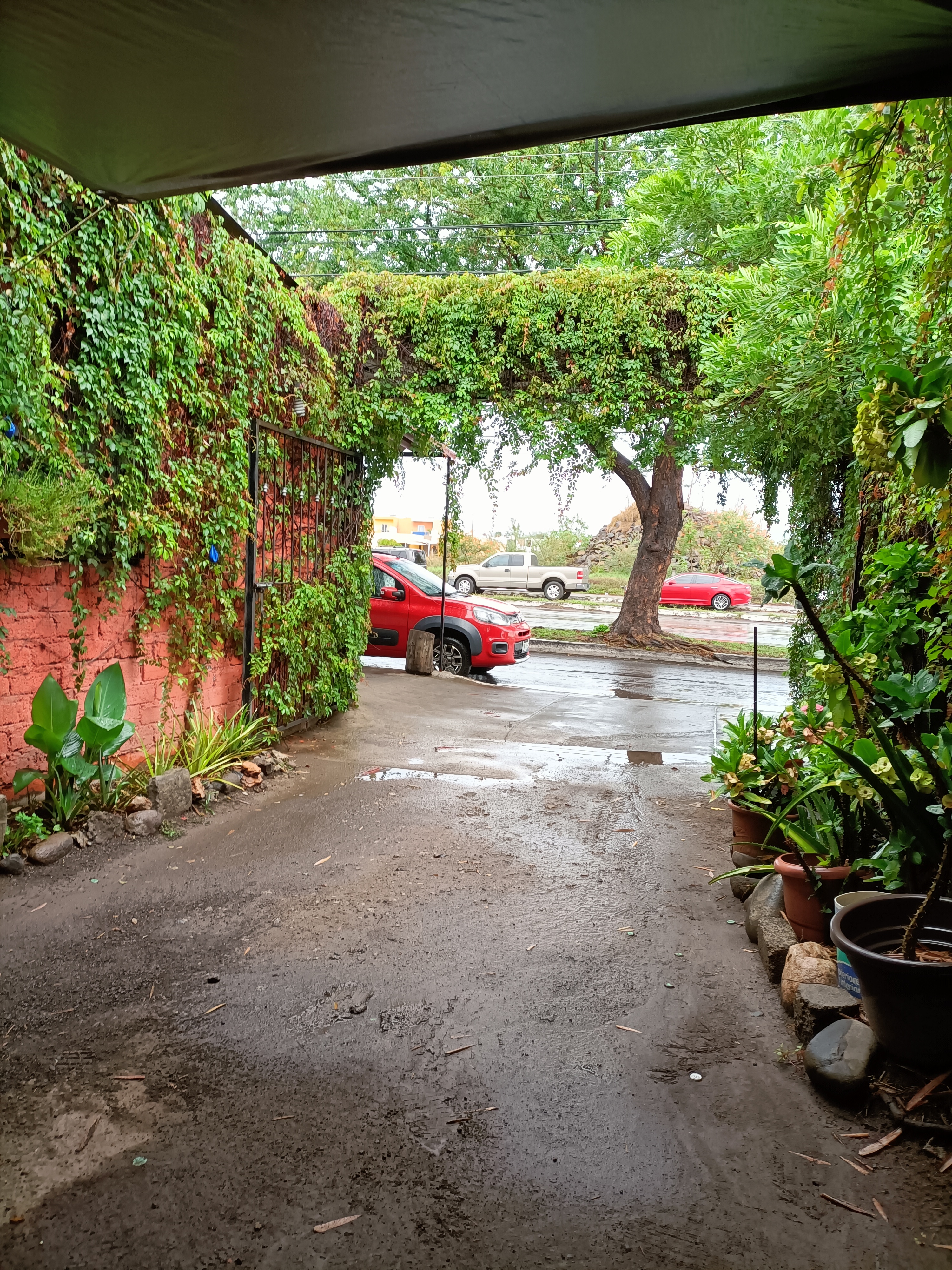 El Guamúchil desayuno image 8