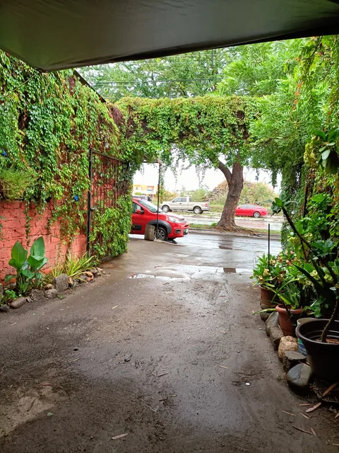 El Guamúchil desayuno image 8