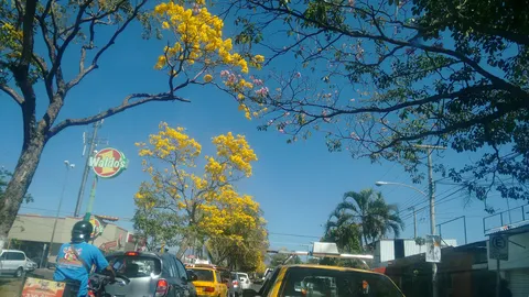 Pollo Feliz image 3