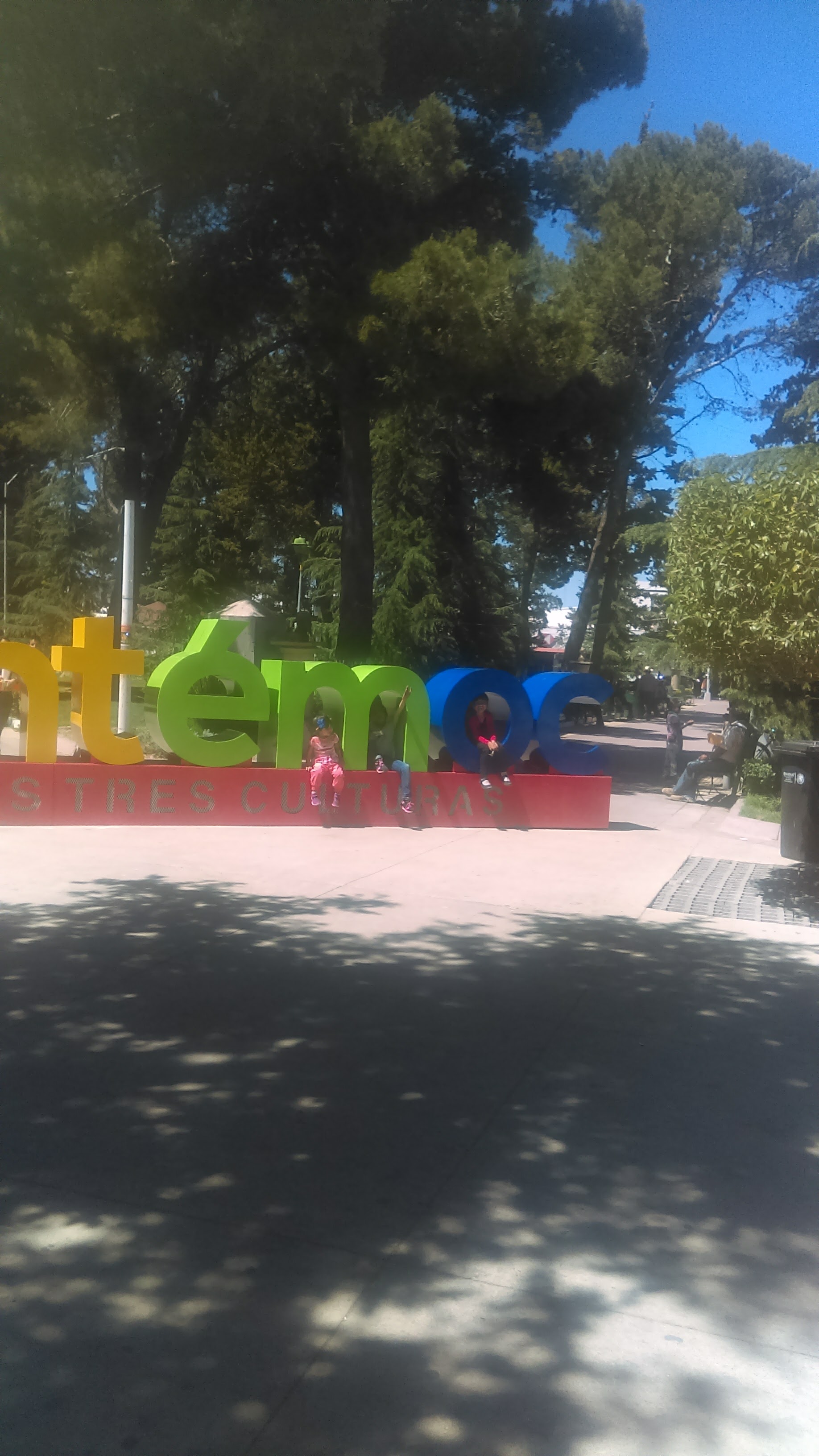 El Pollo Giro Restaurant image 5