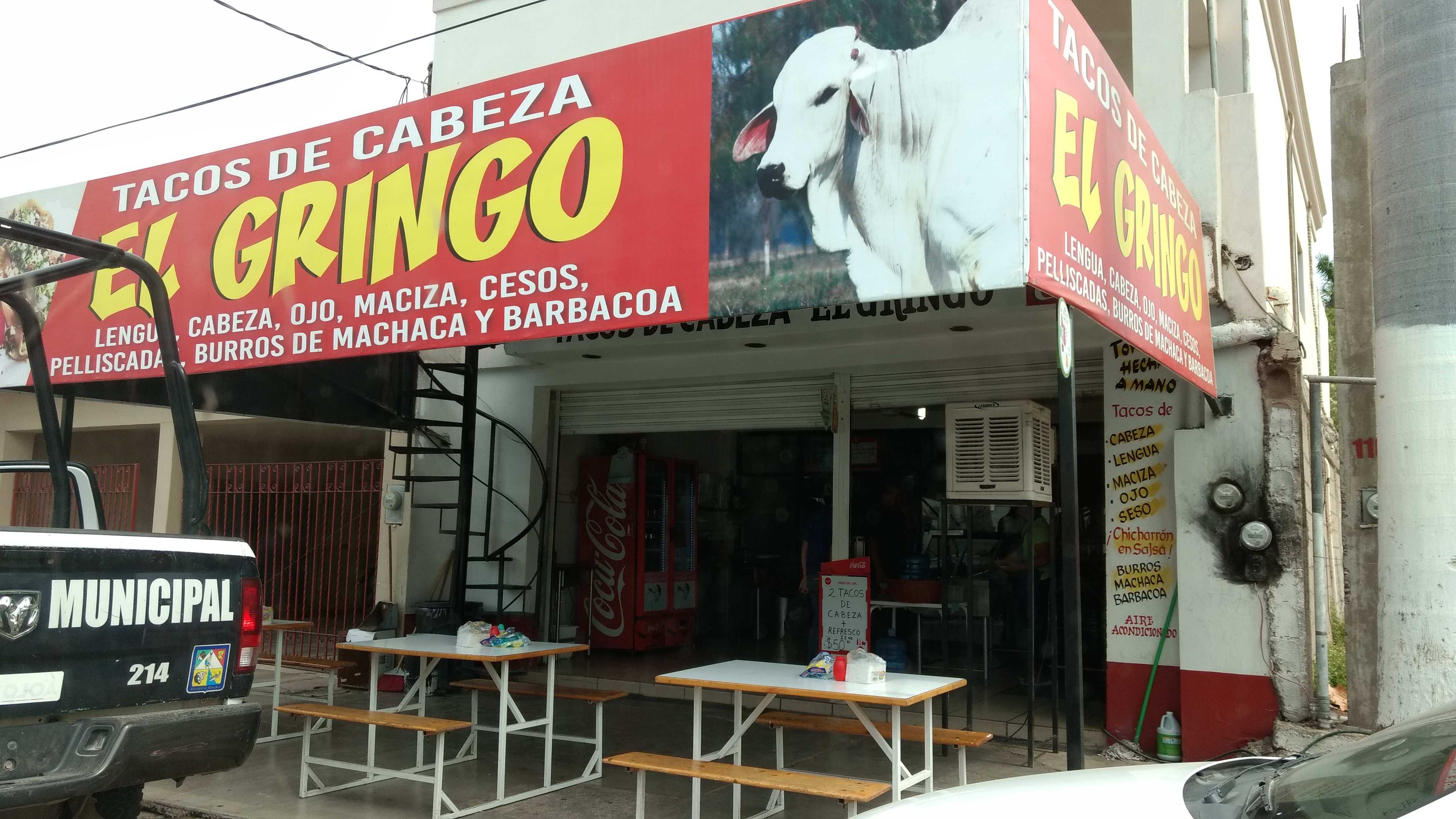 Taqueria el gringo image 7