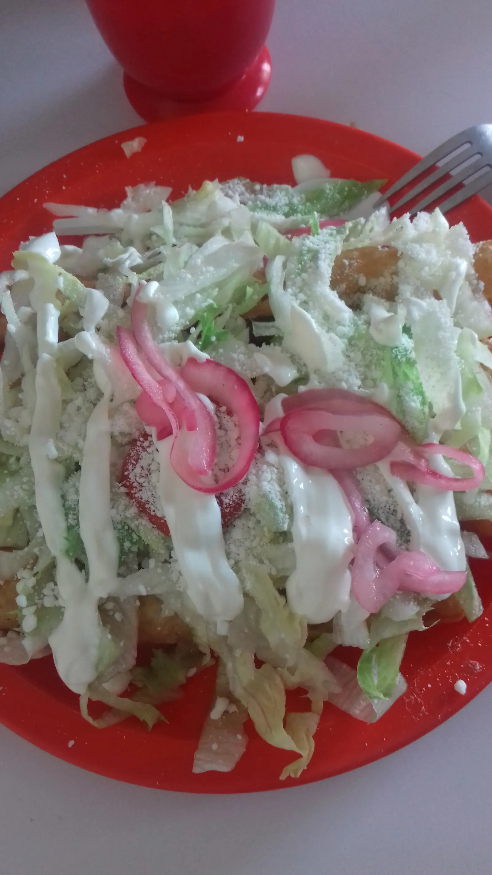 Pollo feliz image 5