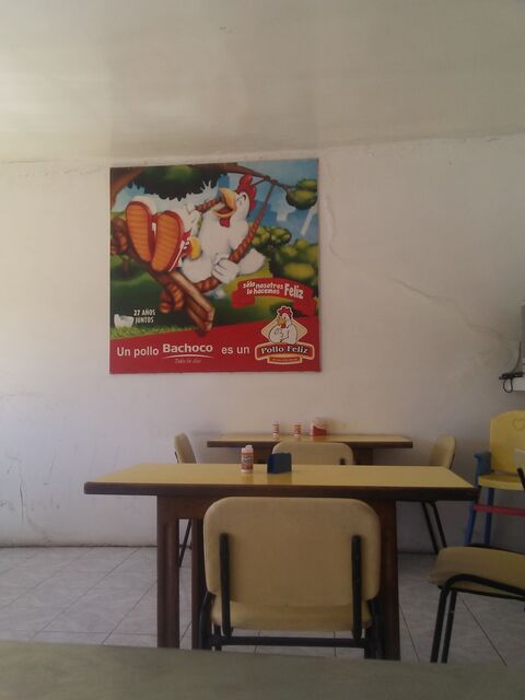 Pollo feliz image 7