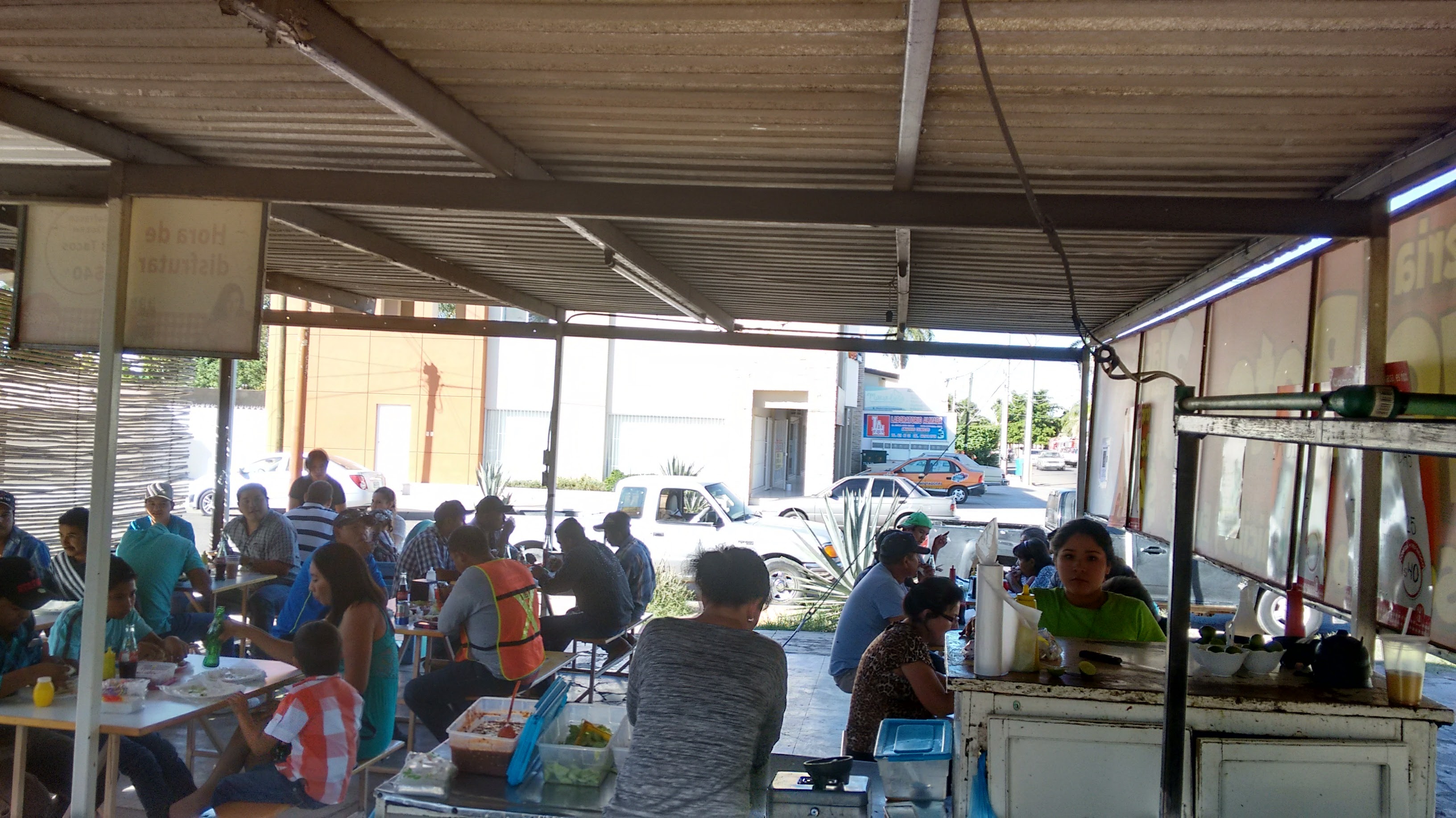 Taqueria Mayo Beto image 6